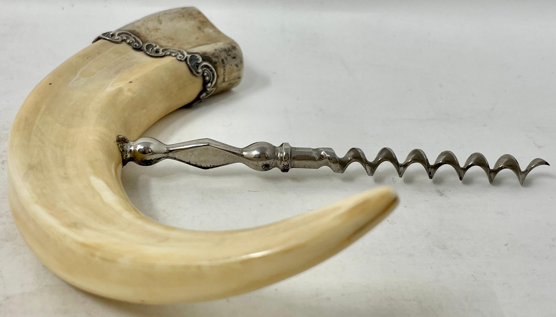 Antique Sterling Silver Mounted Boar's Tusk Corkscrew with Nickel Silver Worm. In Good Condition In New Orleans, LA