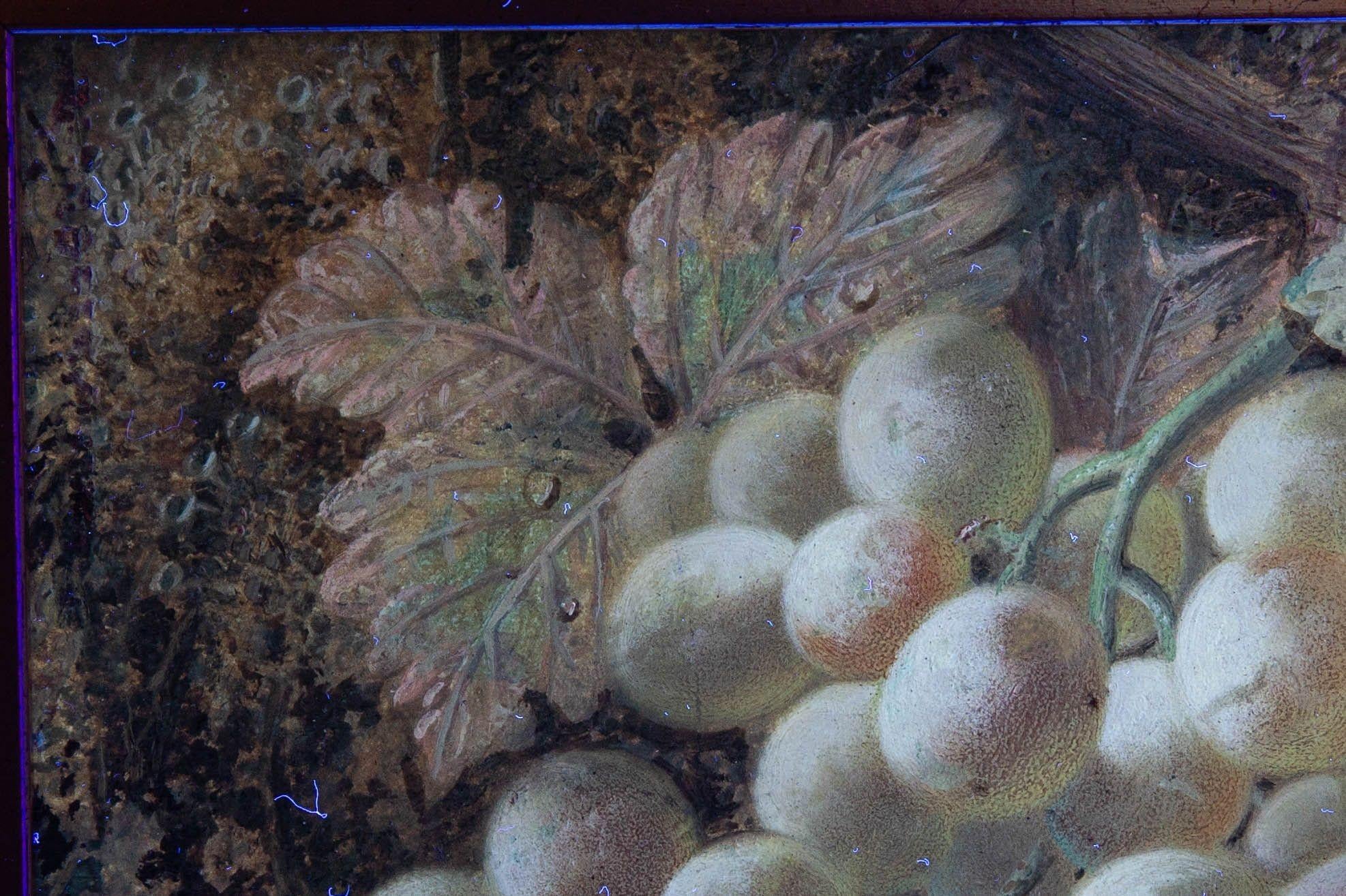 Antique Still-Life Painting of Fruits by Oliver Clare 5