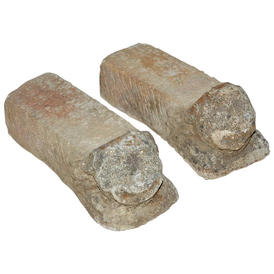 Supports de piédestal anciens en pierre sculptée à tête de lion en vente
