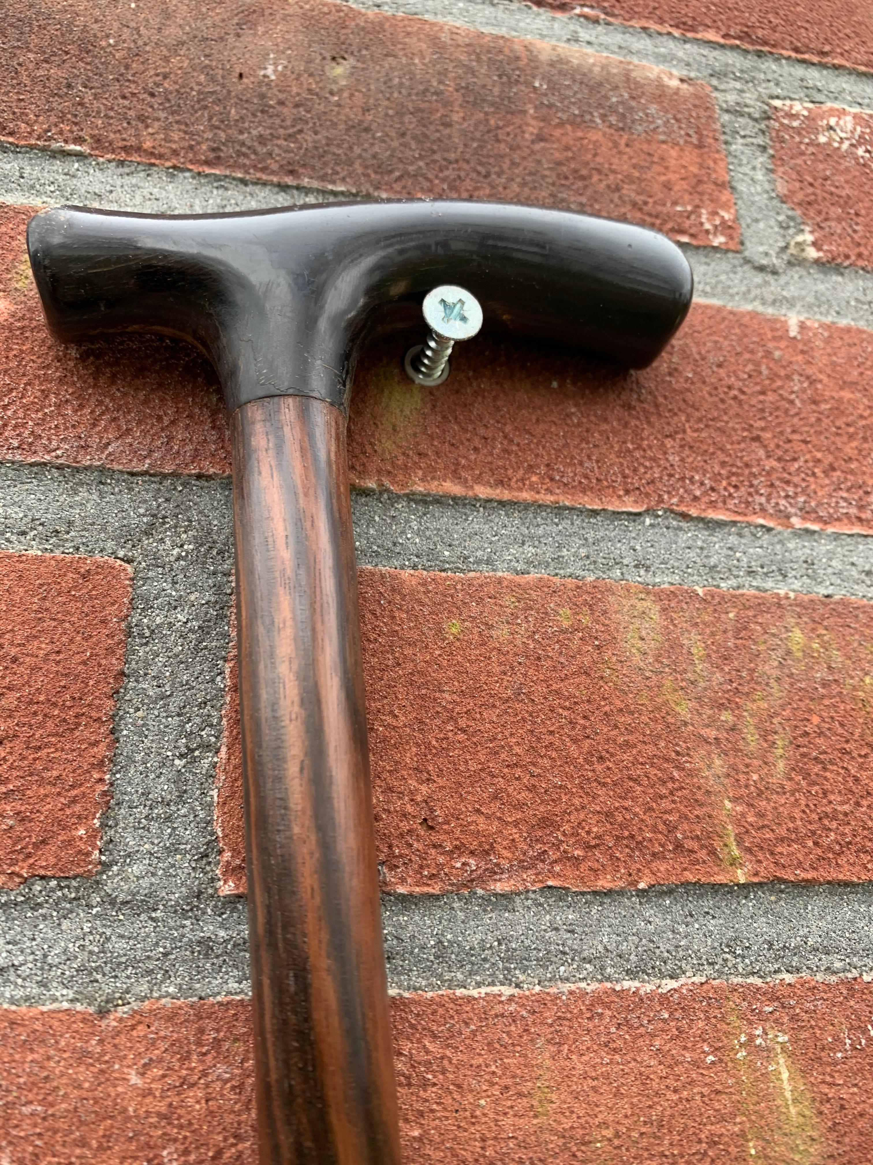 Antique & Strong Art Deco Era Workmanship Coromandel & Horn Walking Stick / Cane 4