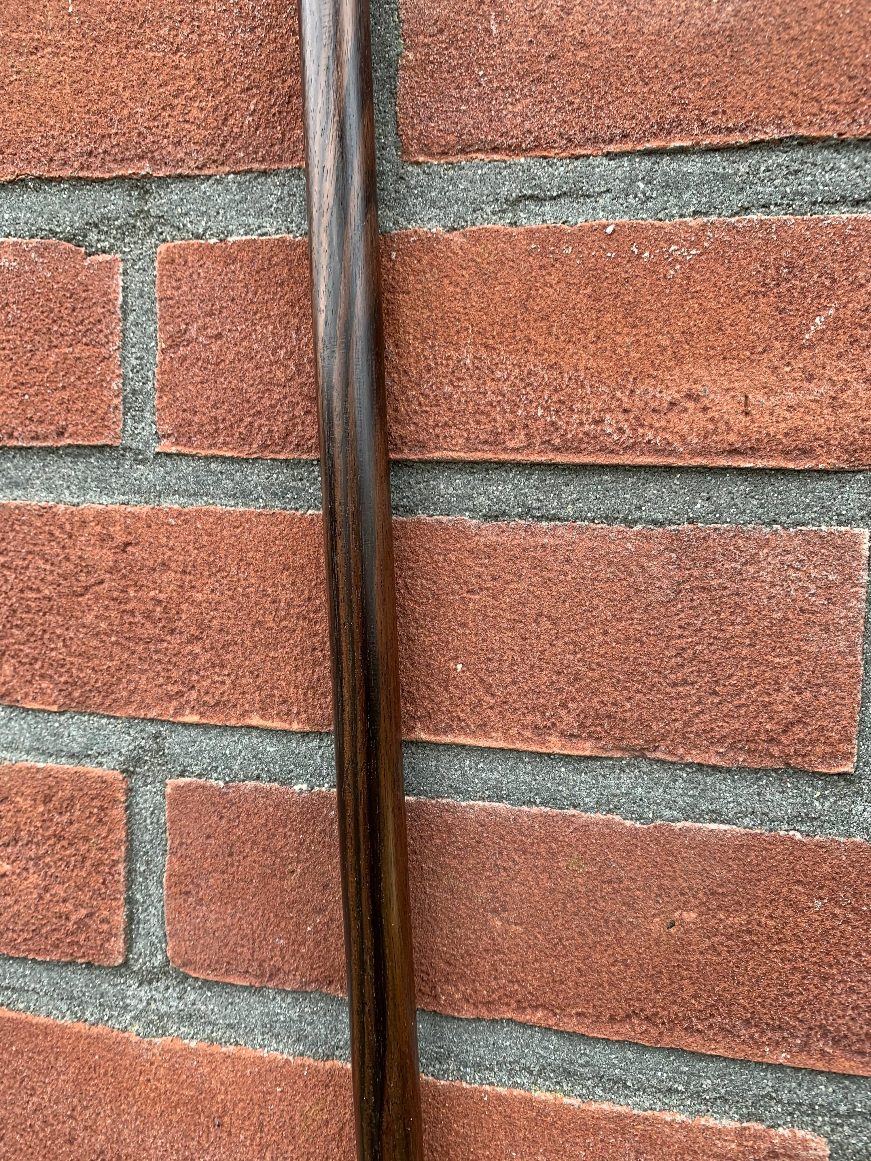 Antique & Strong Art Deco Era Workmanship Coromandel & Horn Walking Stick / Cane 7