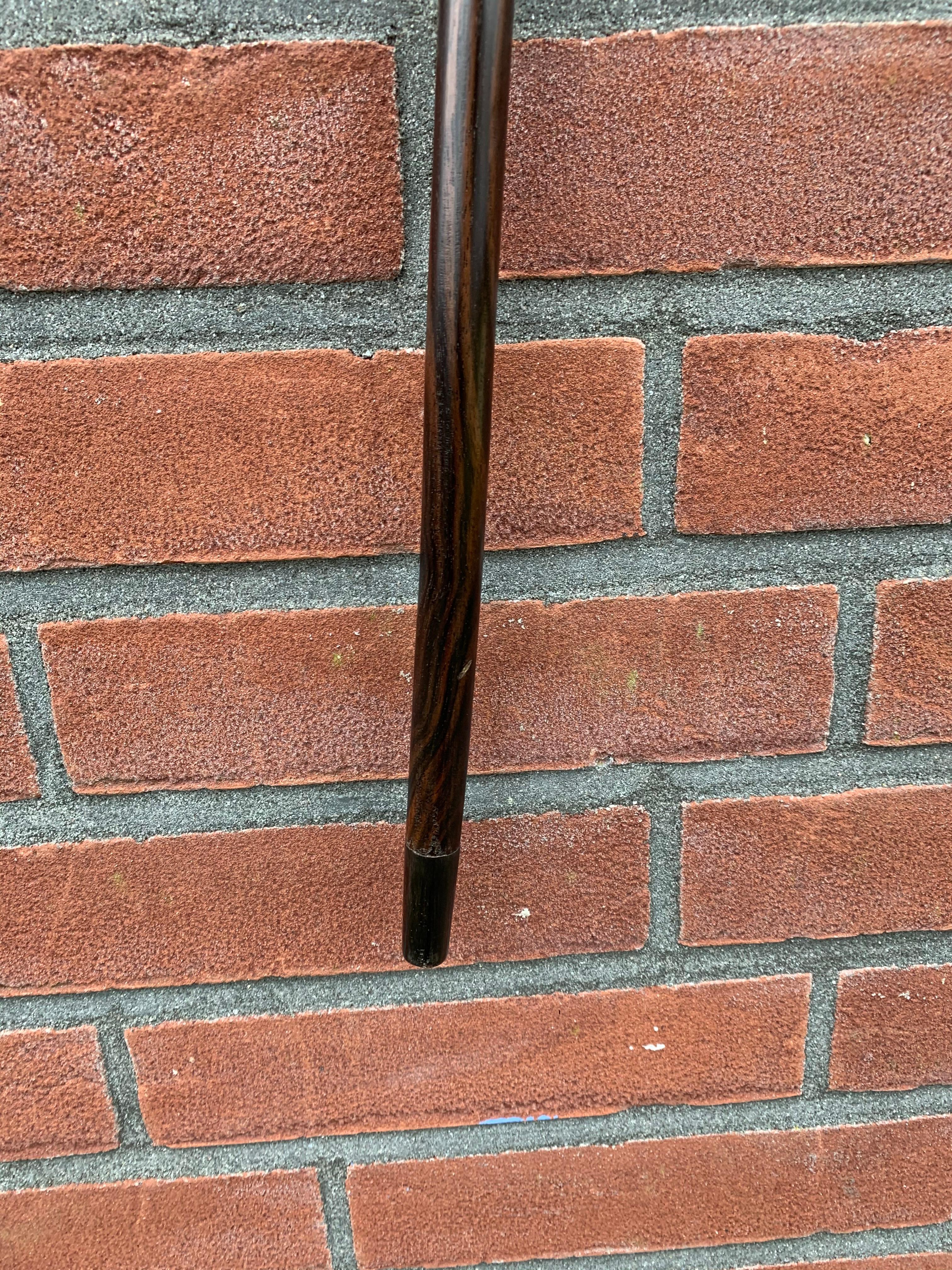 20th Century Antique & Strong Art Deco Era Workmanship Coromandel & Horn Walking Stick / Cane