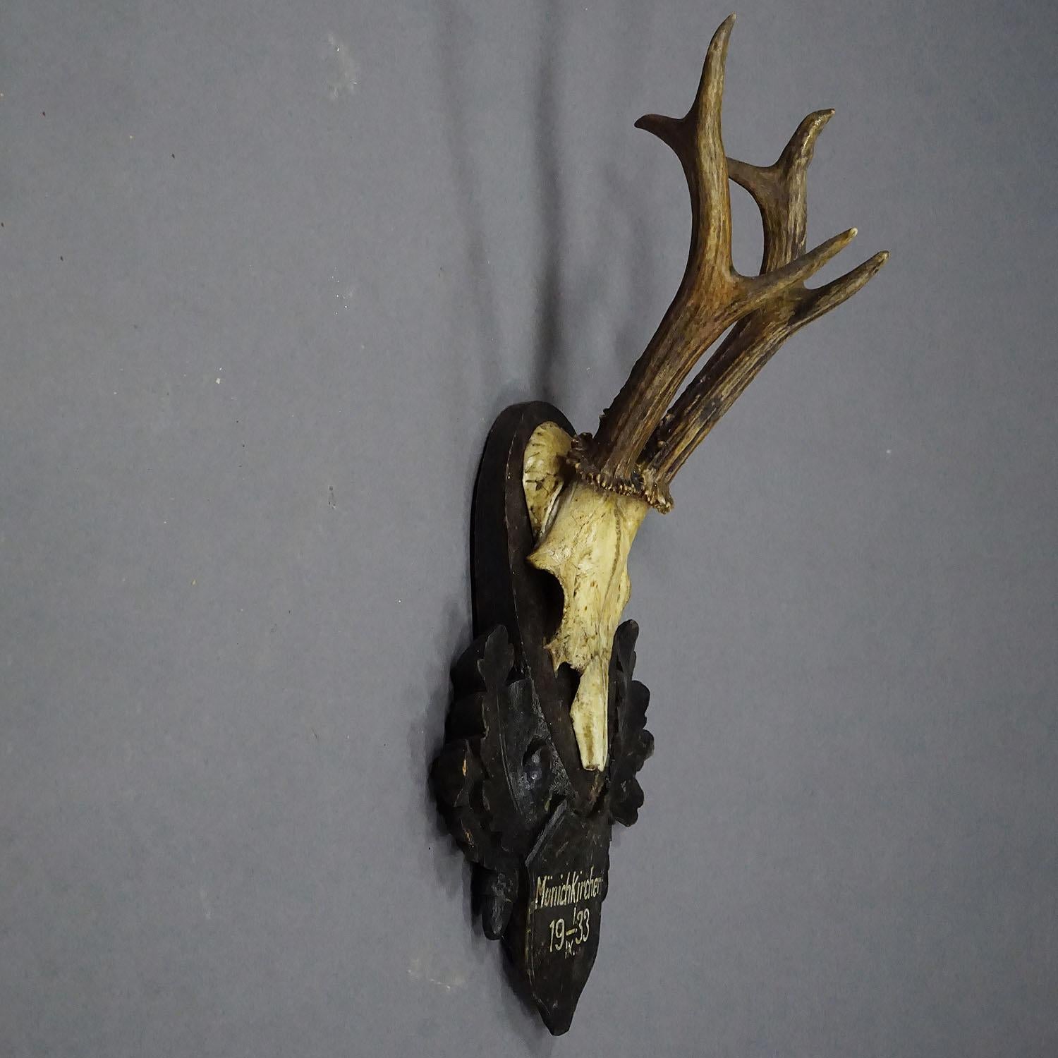 Trofeo antiguo de corzo de Estiria en placa tallada, Austria 1933 Rústico en venta