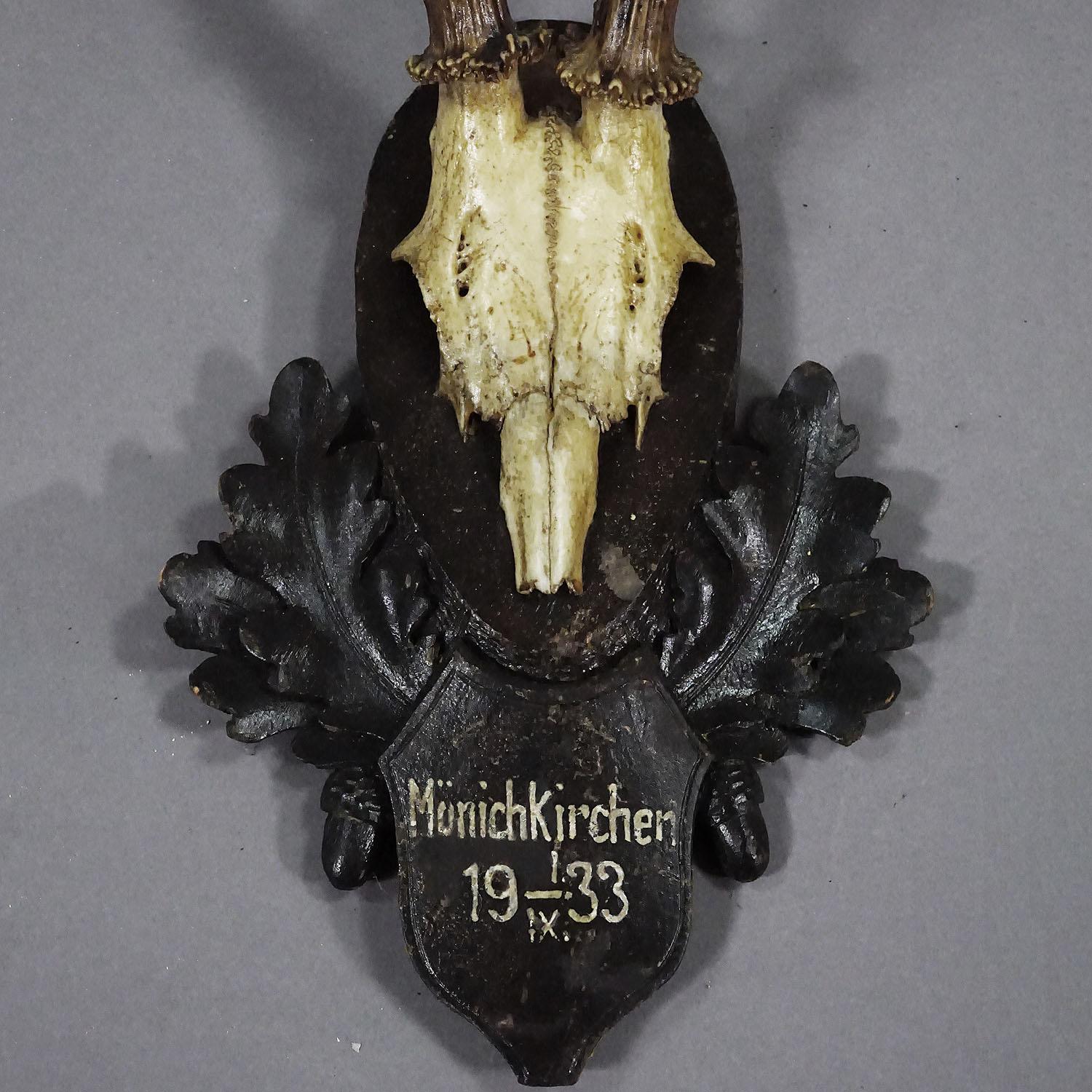 Trofeo antiguo de corzo de Estiria en placa tallada, Austria 1933 en Bueno estado para la venta en Berghuelen, DE