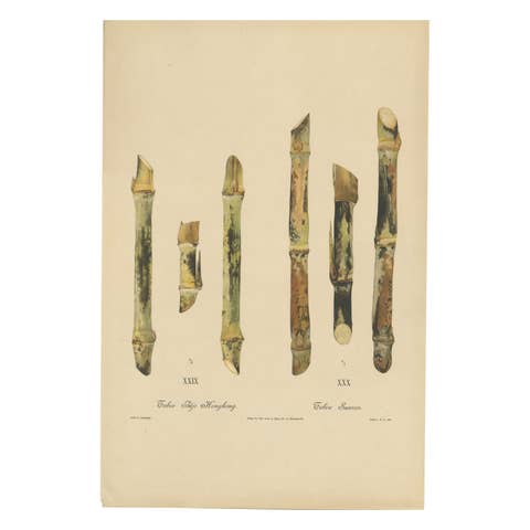 Antique Sugarcane Chromolithograph Pair, Teboe Tjio Hongkong & Saroer, 1892