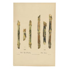 Antique Sugarcane Chromolithograph Pair, Teboe Tjio Hongkong 
Saroer, 1892