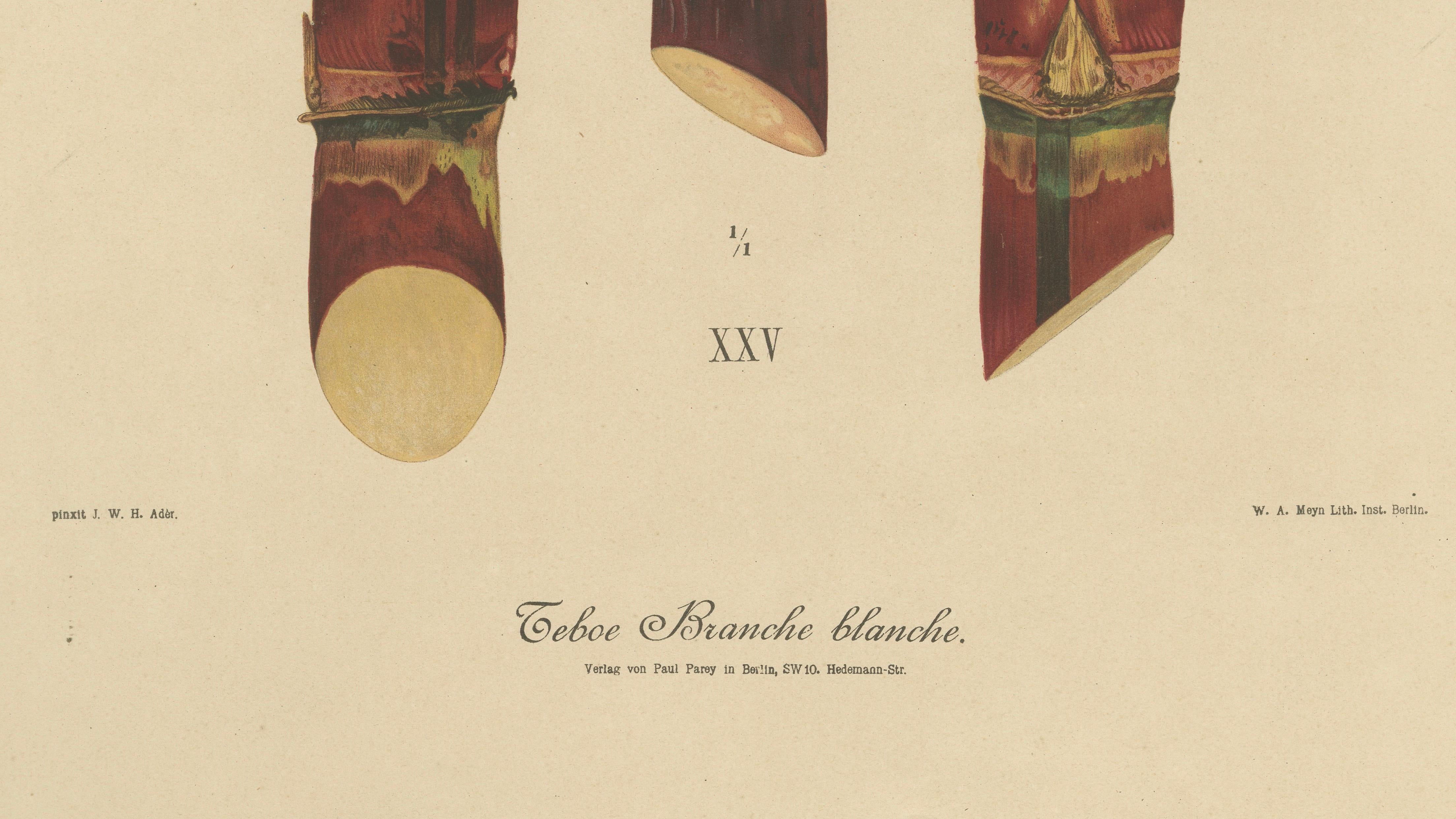Antique Sugarcane Chromolithograph, Teboe Branche blanche, Java 1892