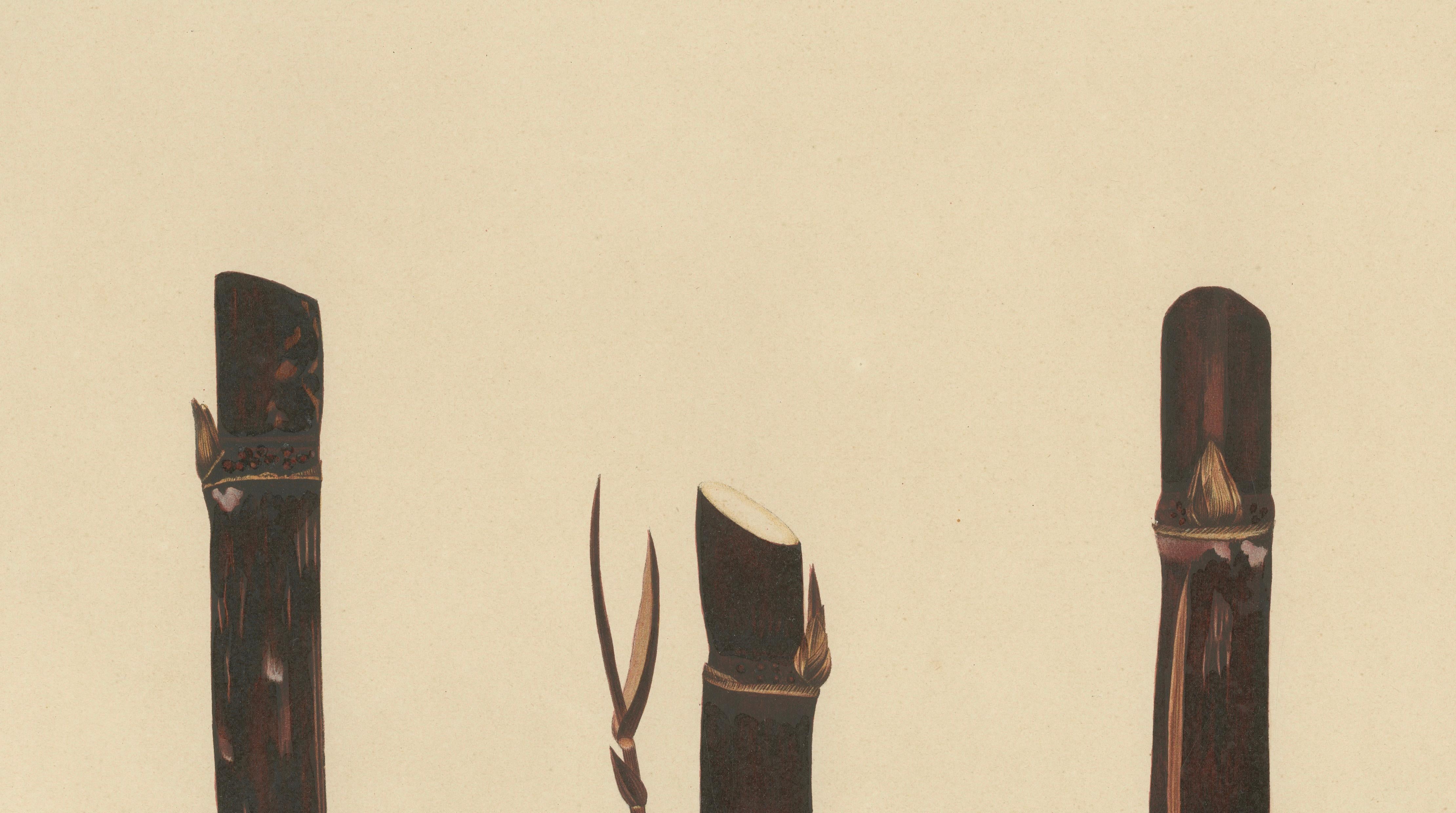 Antique Sugarcane Chromolithograph, Teboe Djampirik, Java 1892