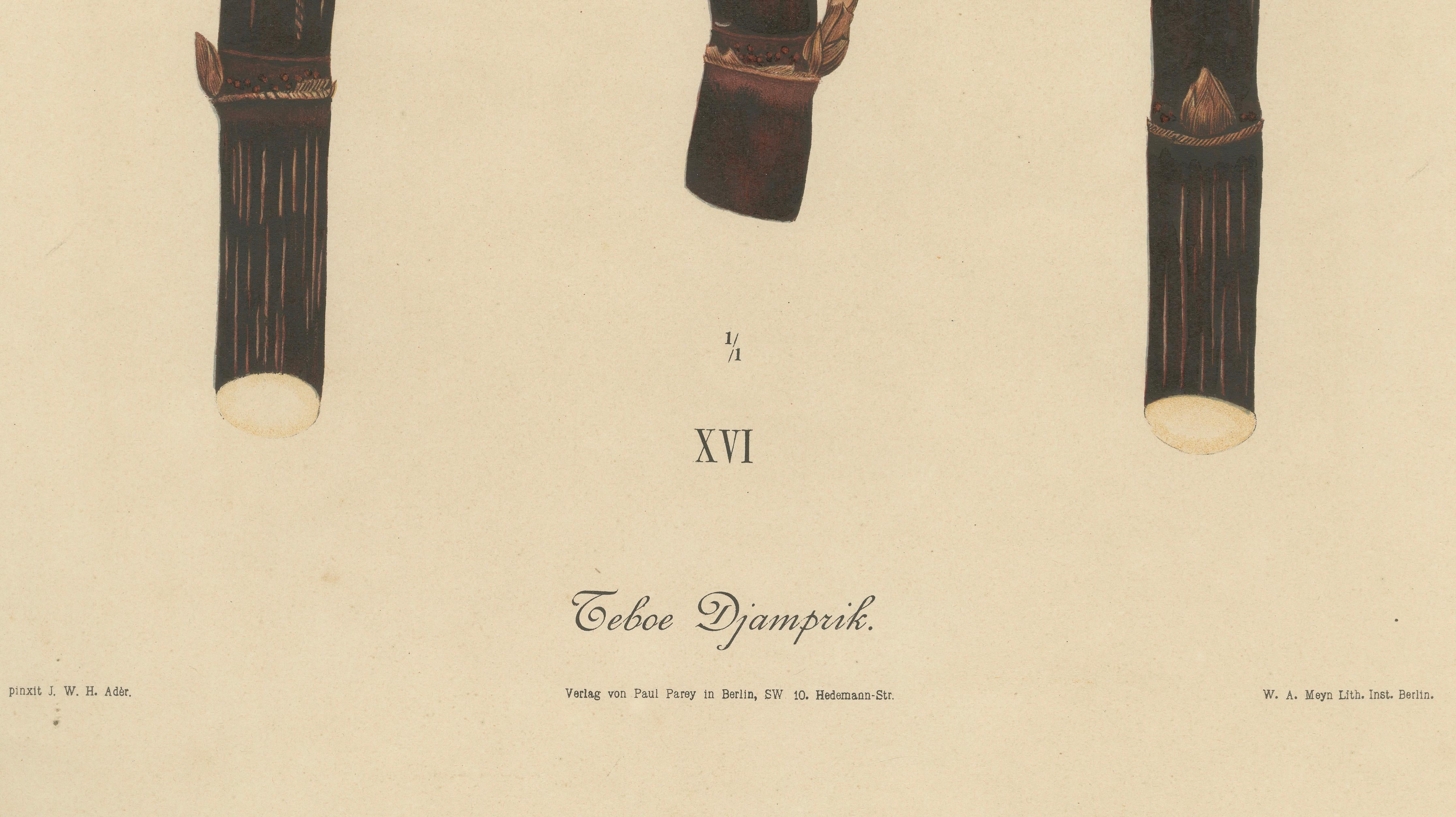 Antique Sugarcane Chromolithograph, Teboe Djampirik, Java 1892