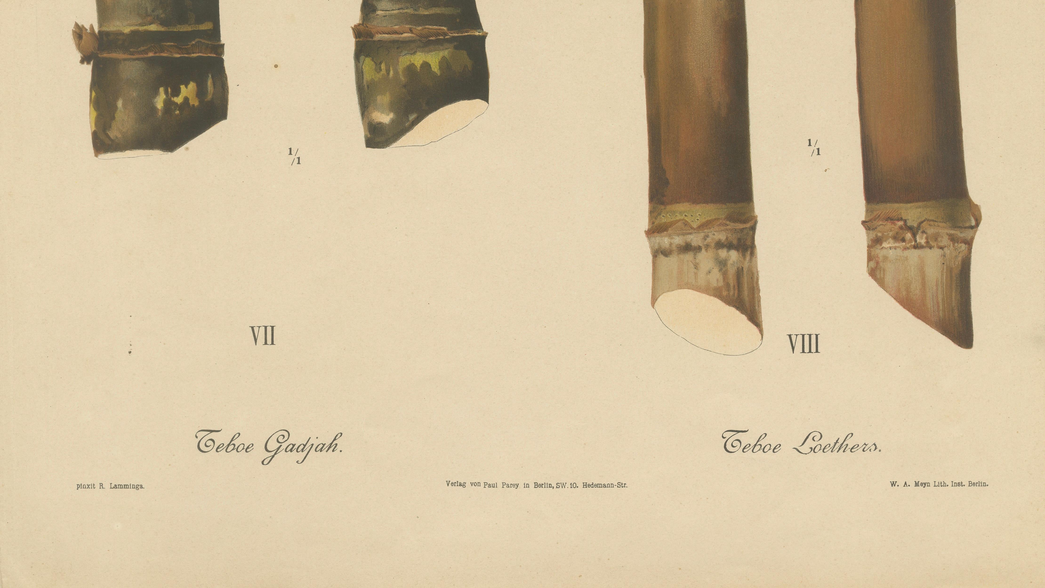 Antique Sugarcane Chromolithograph, Teboe Gadjah and Teboe Boethers, 1892