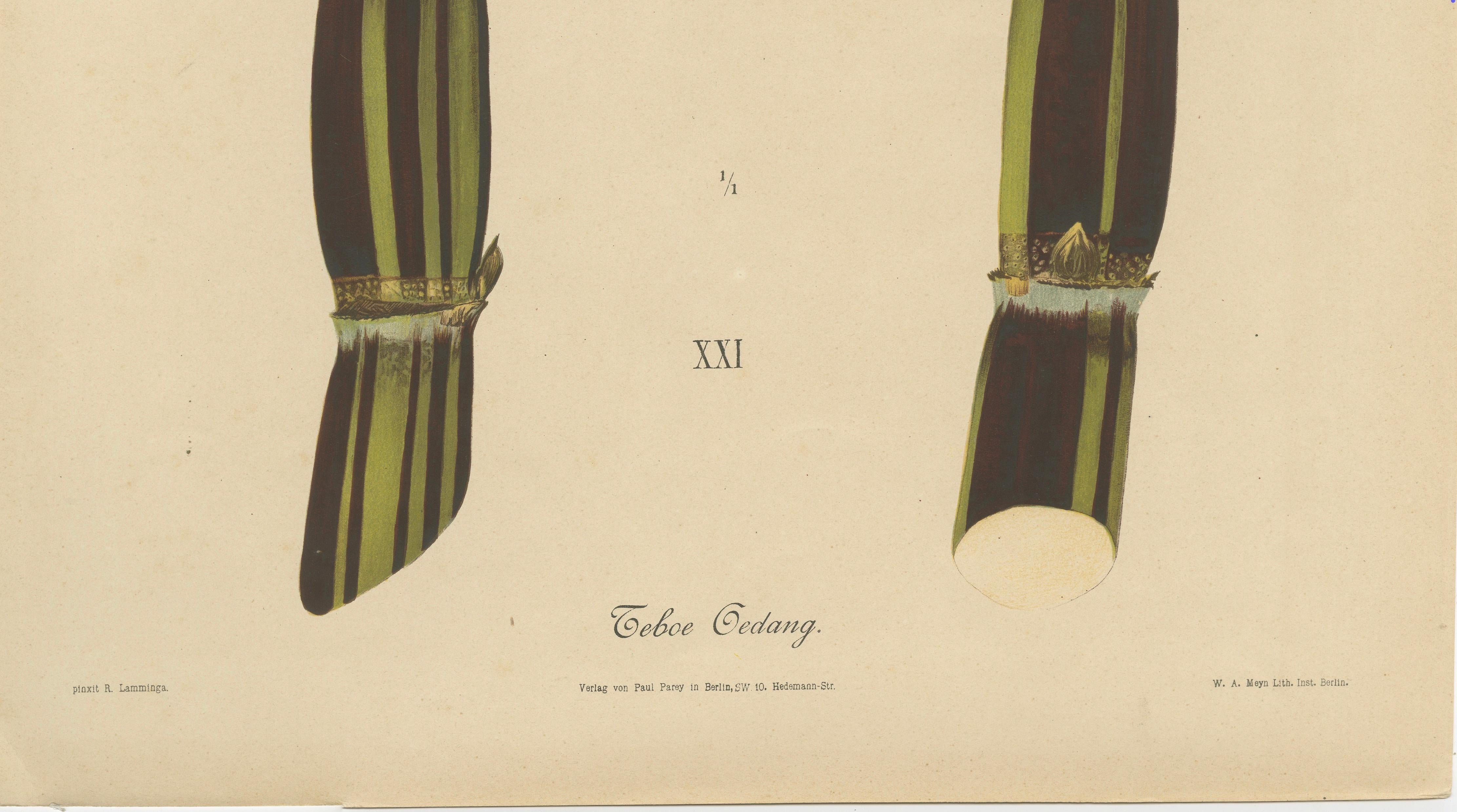 Antique Sugarcane Chromolithograph, Teboe Gedang, Java 1892