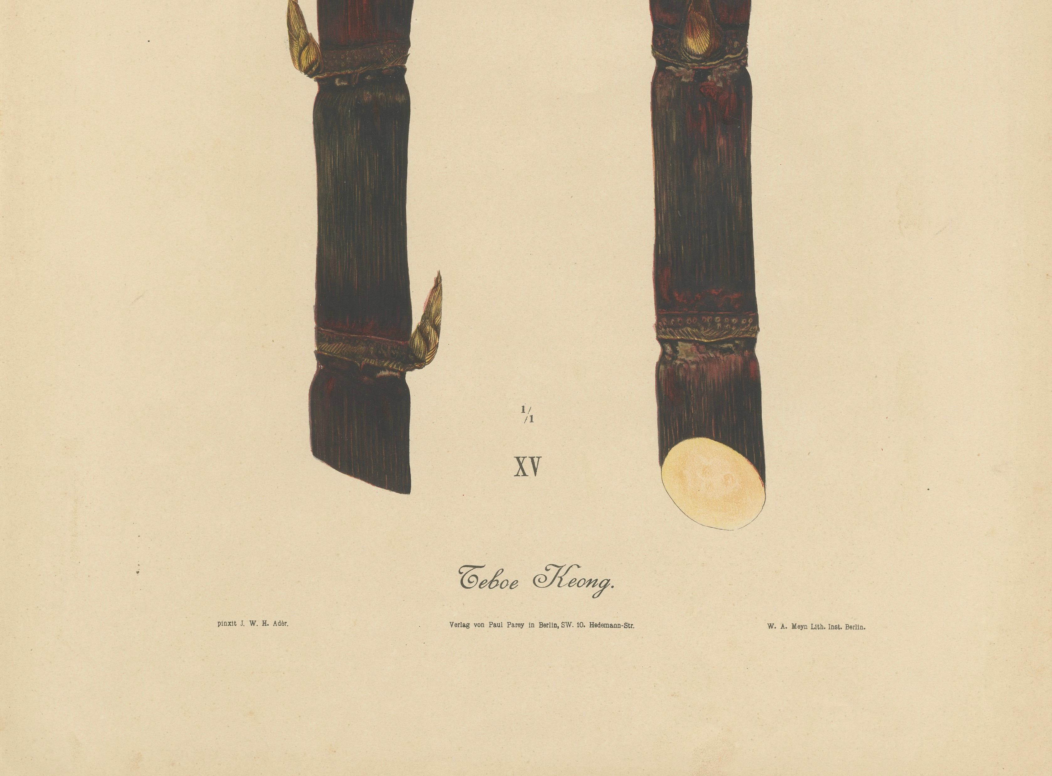 Antique Sugarcane Chromolithograph, Teboe Keong, Java 1892