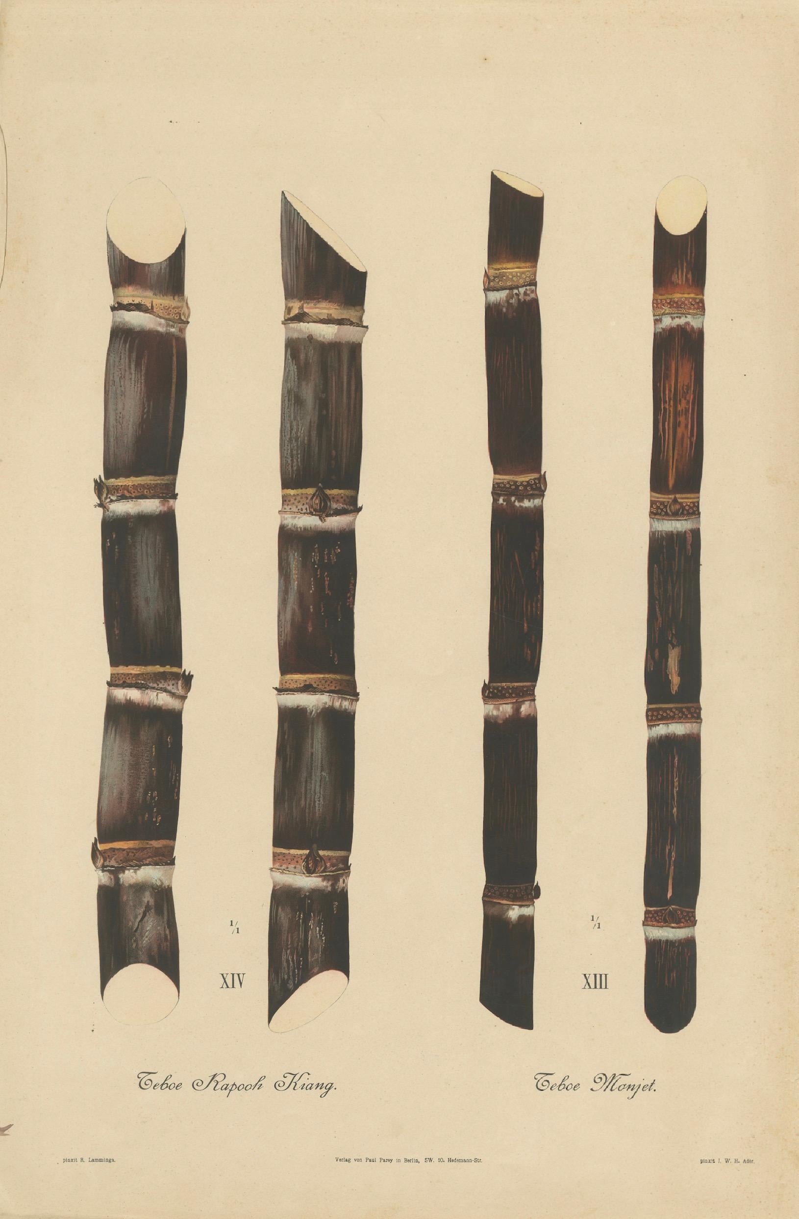 Antique Sugarcane Chromolithograph, Teboe Monjet and Teboe Rapooh Kiang, 1892