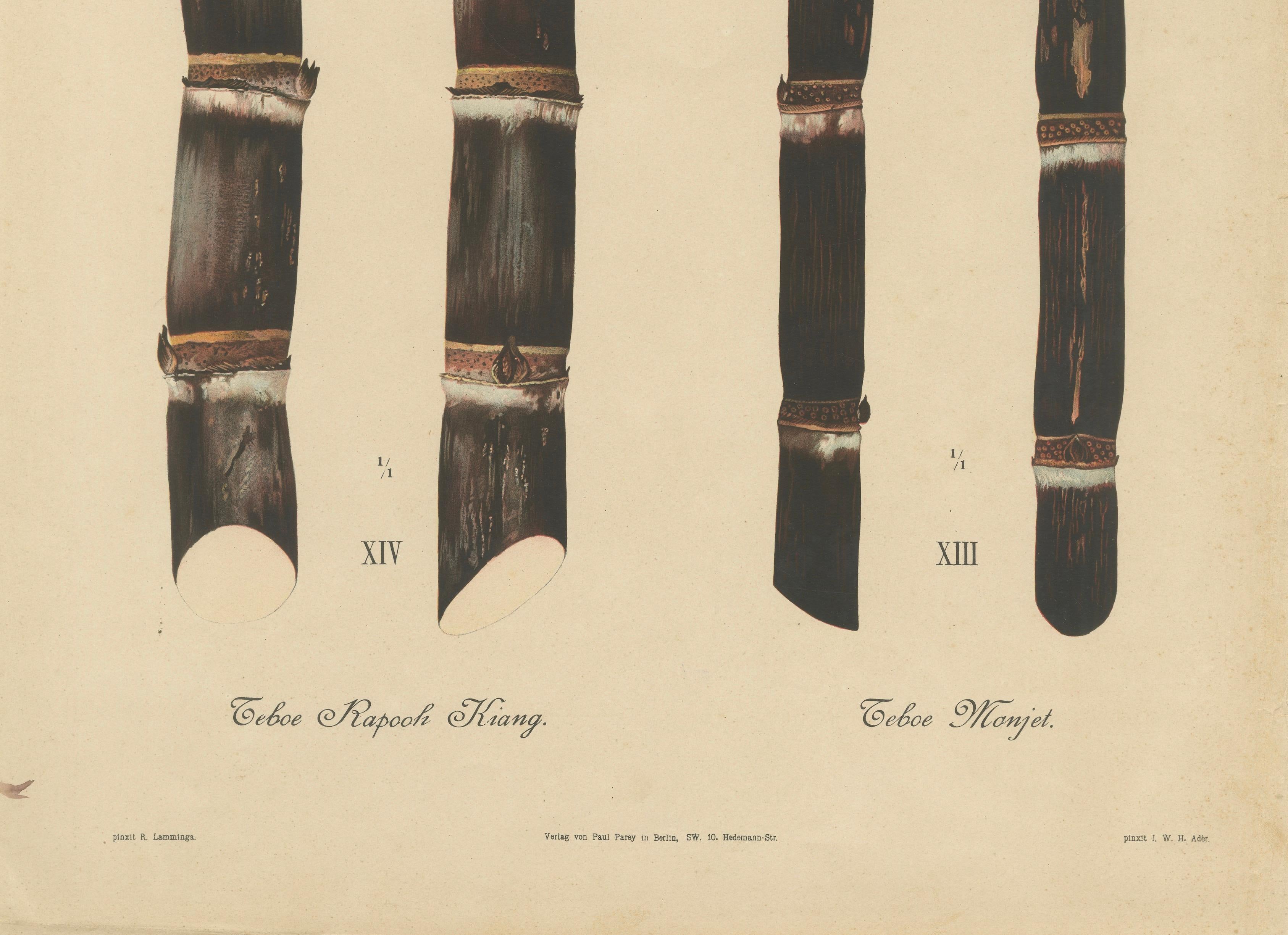 Antique Sugarcane Chromolithograph, Teboe Monjet and Teboe Rapooh Kiang, 1892