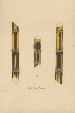 Antique Sugarcane Chromolithograph, Teboe Soerat Njaplong, Java 1892