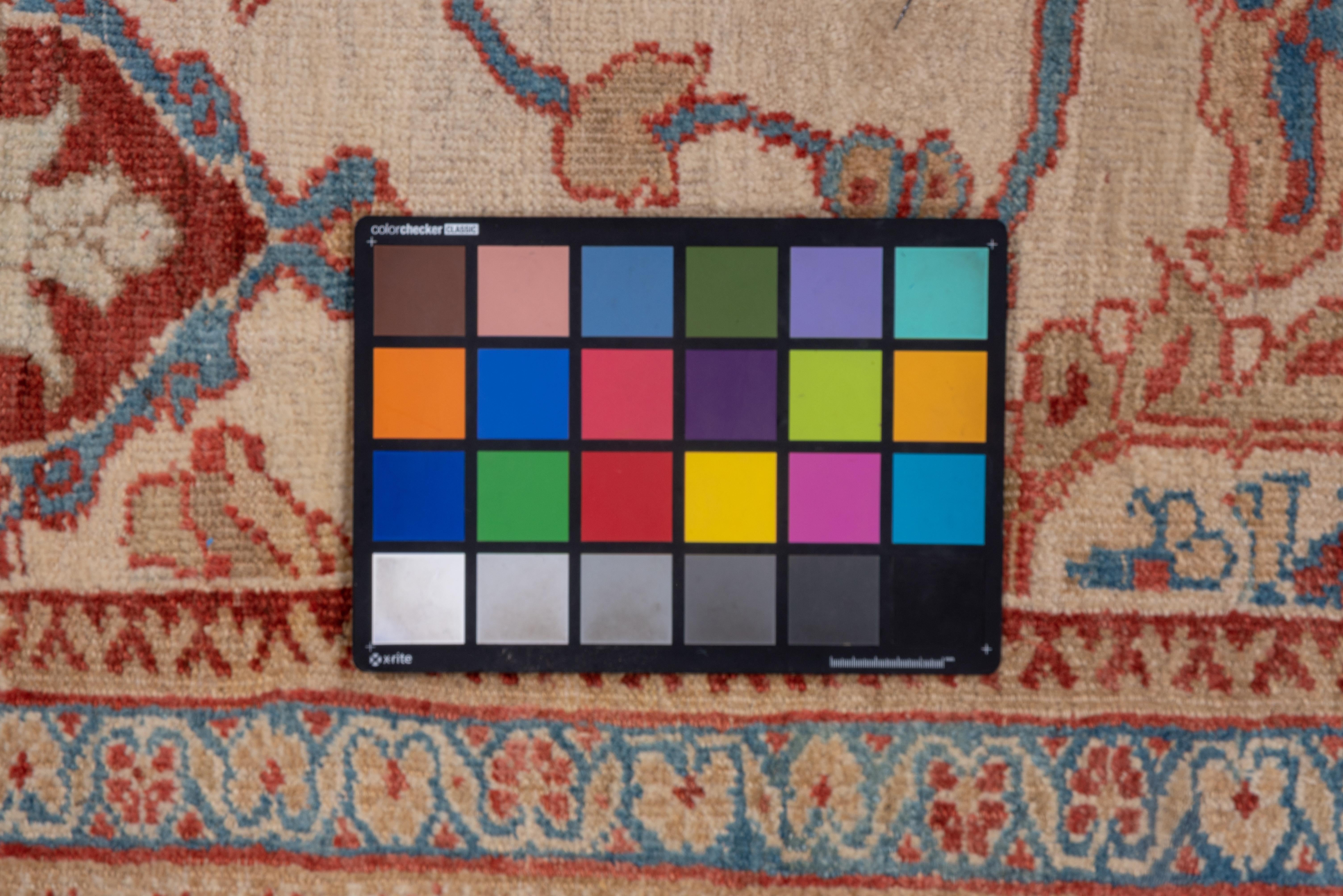 Tapis ancien de Sultanabad sur toute sa surface, terrain crème, bordures rouges et bleues brillantes en vente 2