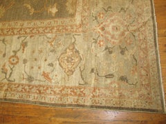 Light Gray Color Antique 19th Century Persian Ziegler Sultanabad Carpet