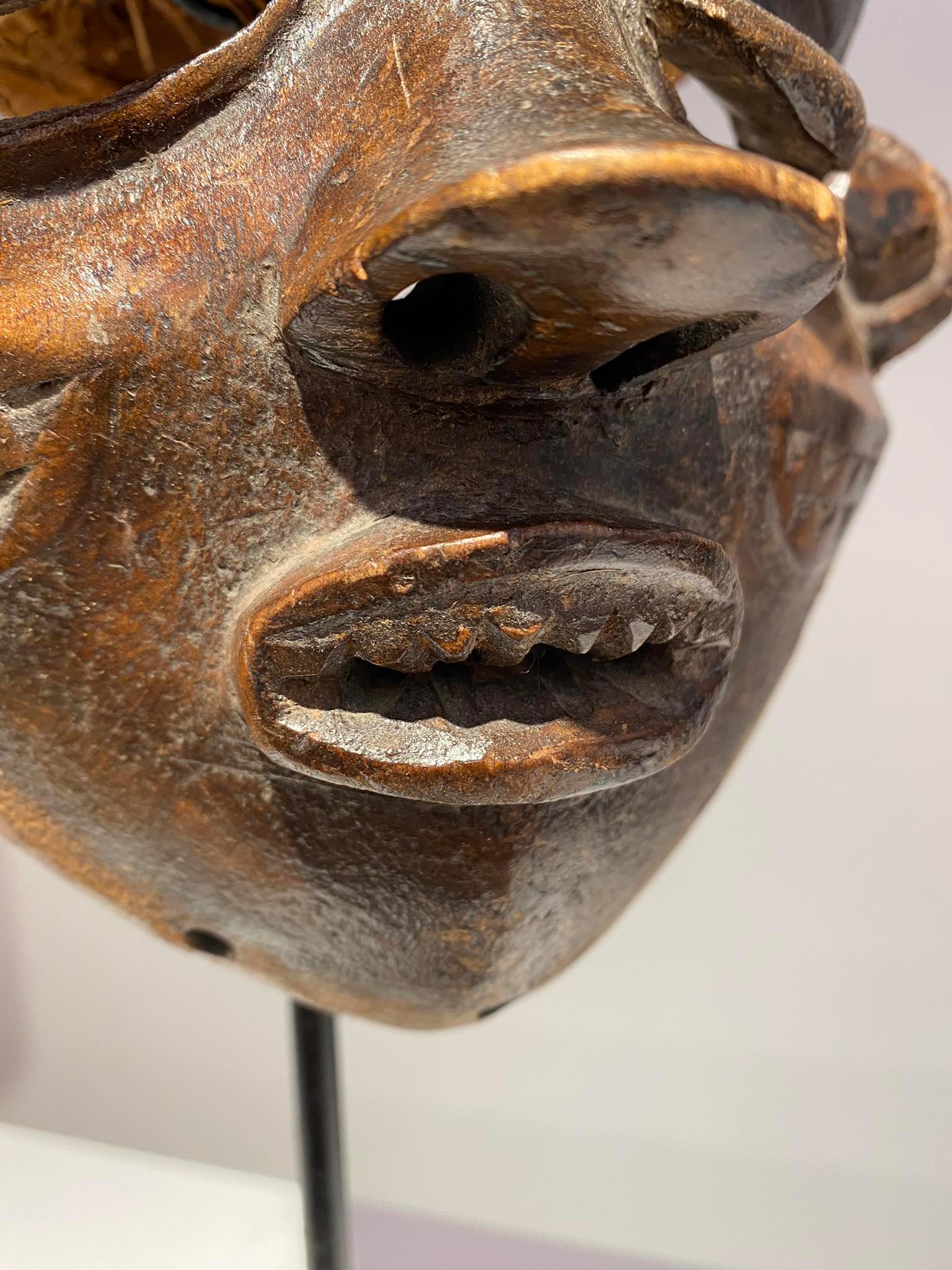 Antike prächtige Pende mbuya Maske DR Kongo Ende 19. im Angebot 2