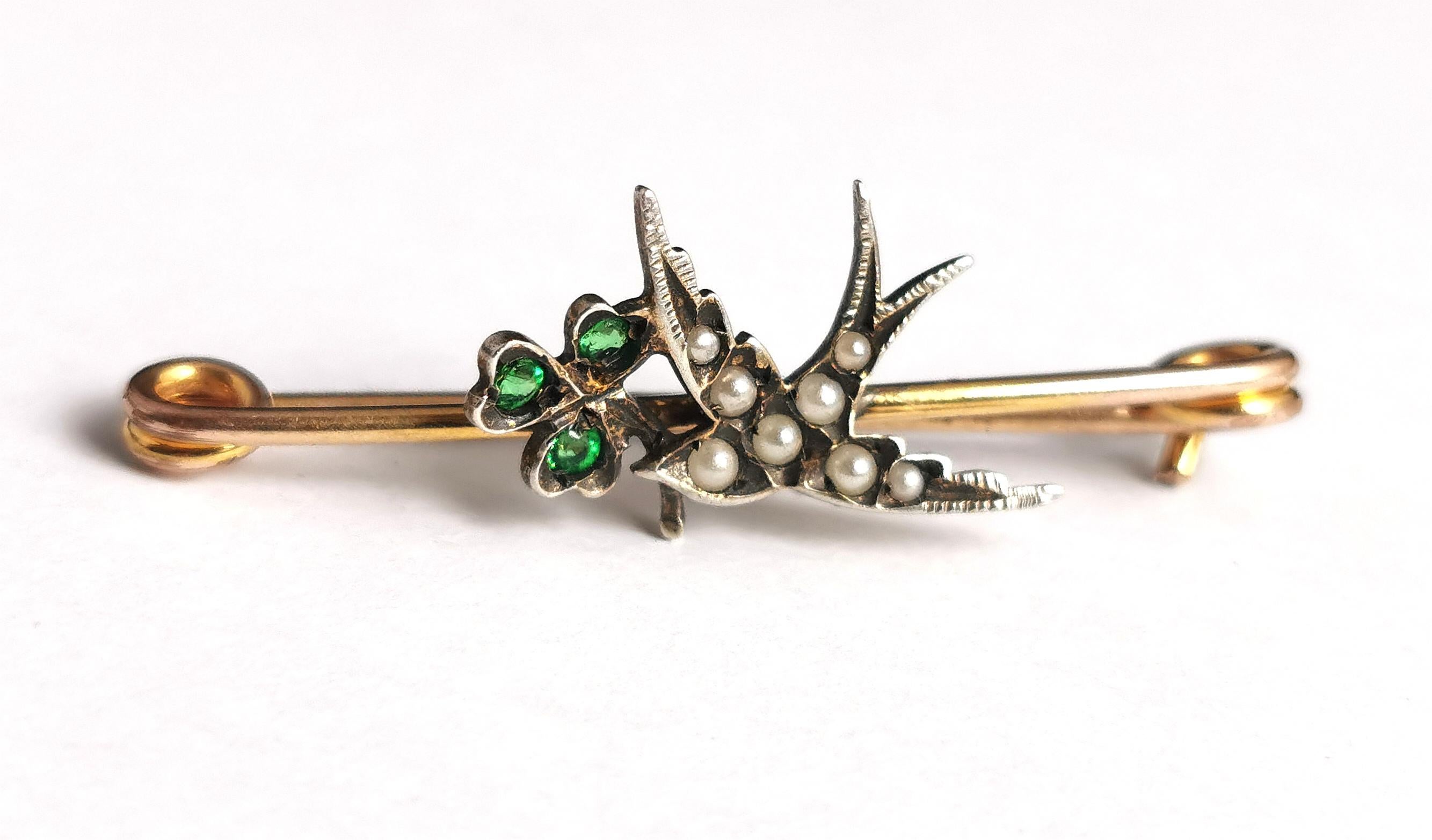 Antique Swallow and Shamrock Brooch, Pin, Boxed  9