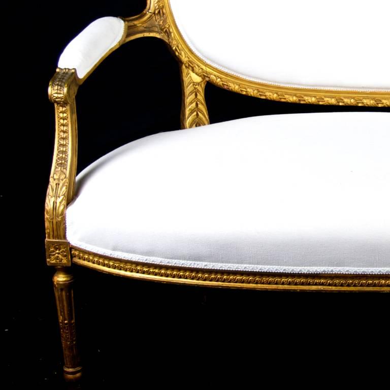Very beautiful Swedish antique Gustavian two- three-seat sofa loveseat intricately decorated with carved cane work, acanthus leaf motifs and shell carvings.

One of the best examples of its type we have ever found with a super comfy fully sprung
