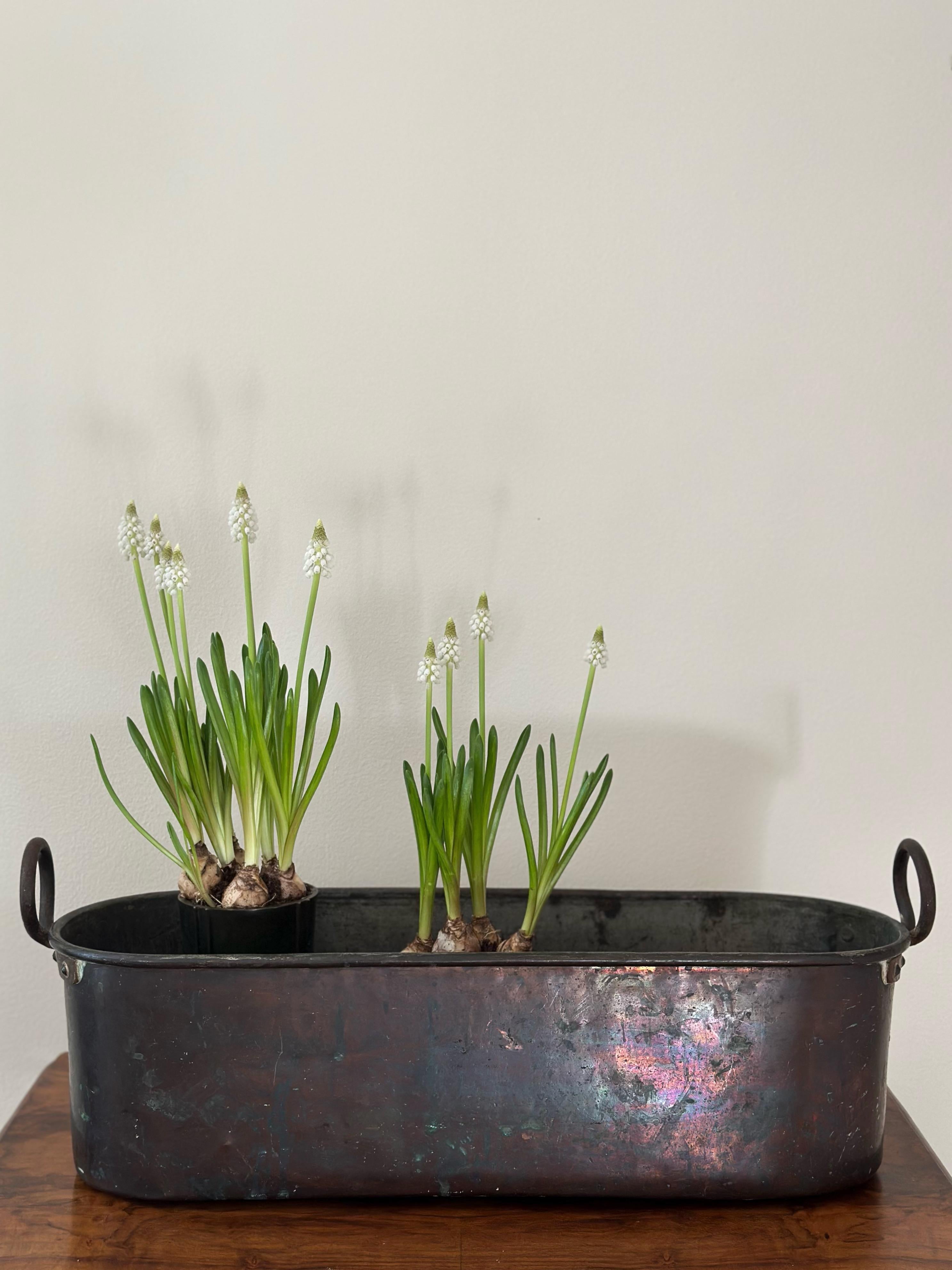 Suédois Ancienne jardinière suédoise en cuivre martelé, vers 1900 en vente