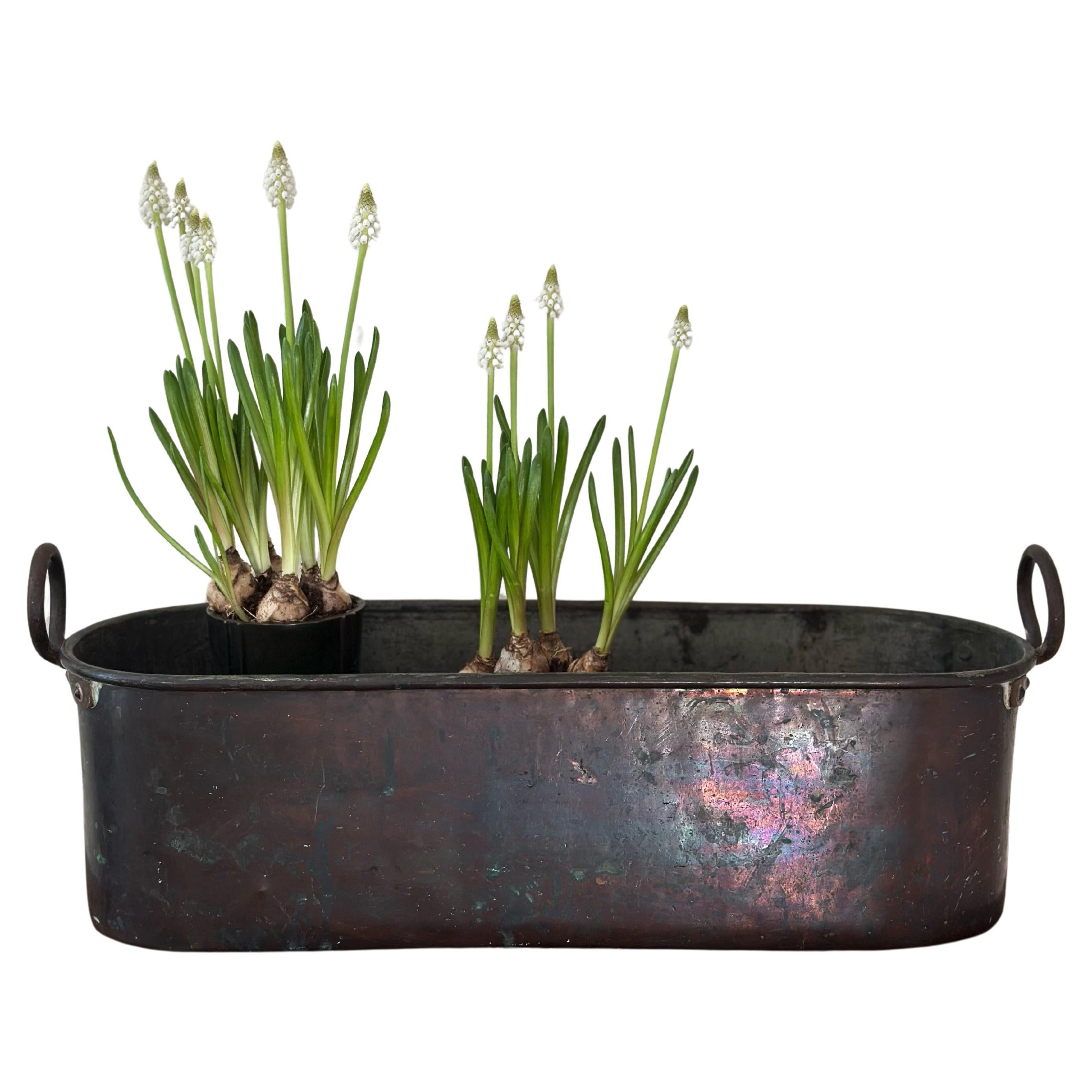 Antique Swedish Hammered Copper Jardiniere Planter, circa 1900s