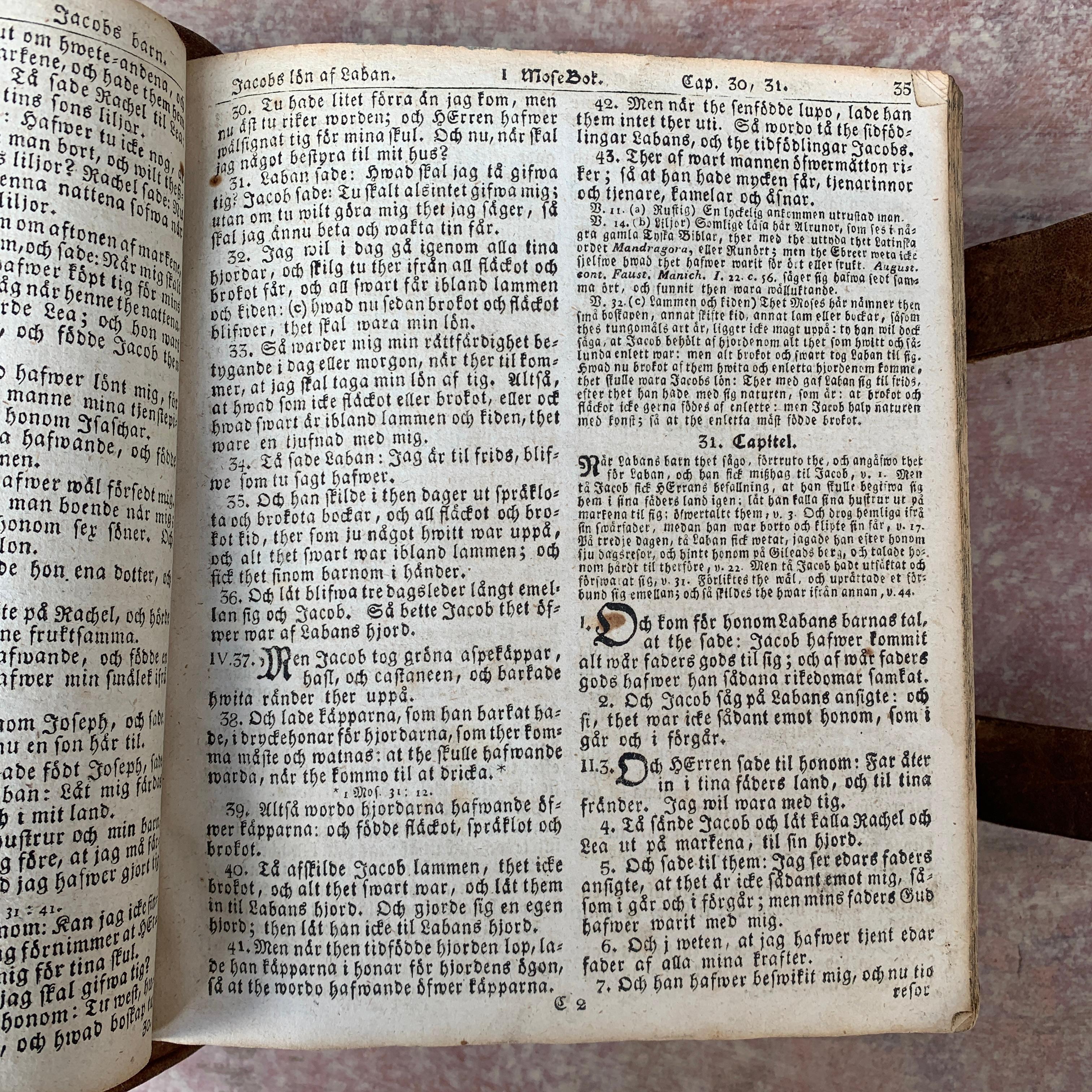 Livre de biblique suédois ancien relié en cuir, 1810 en vente 4