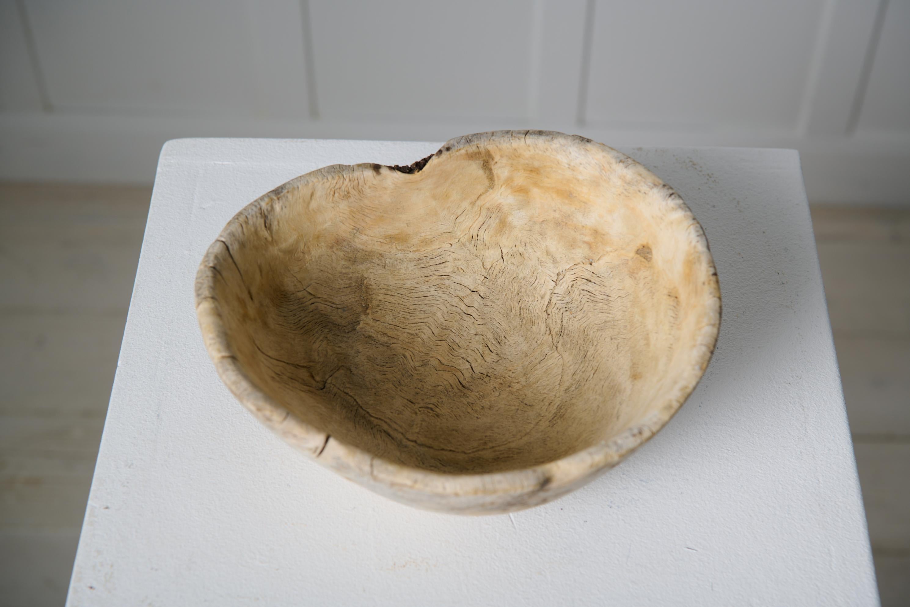 Cuenco Sueco Antiguo de Madera Rústica de Raíz de Abedul con Pátina Pálida Genuina siglo XIX en venta