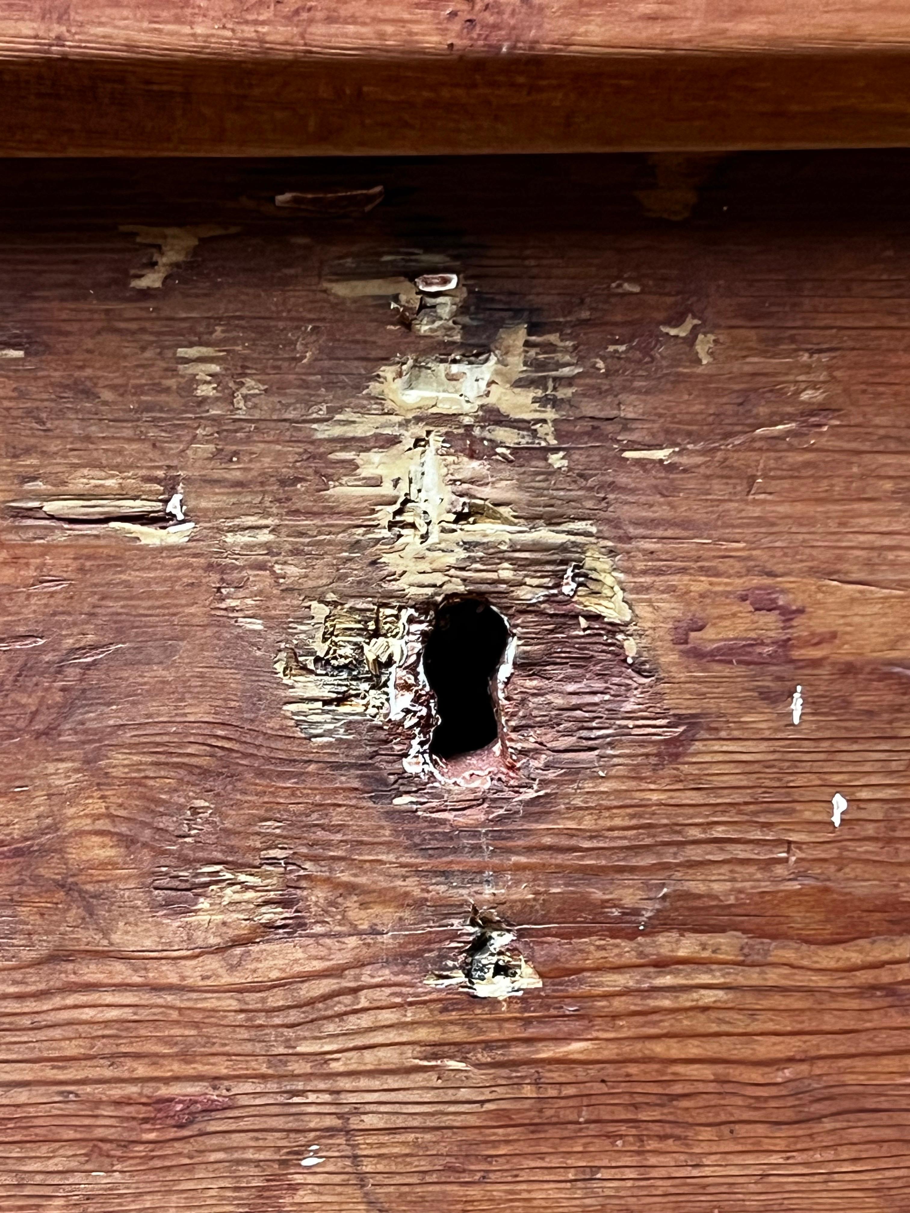 Svedese Antico baule di legno svedese / scatola di immagazzinaggio 1825 Firmato Artigianato popolare a mano in vendita