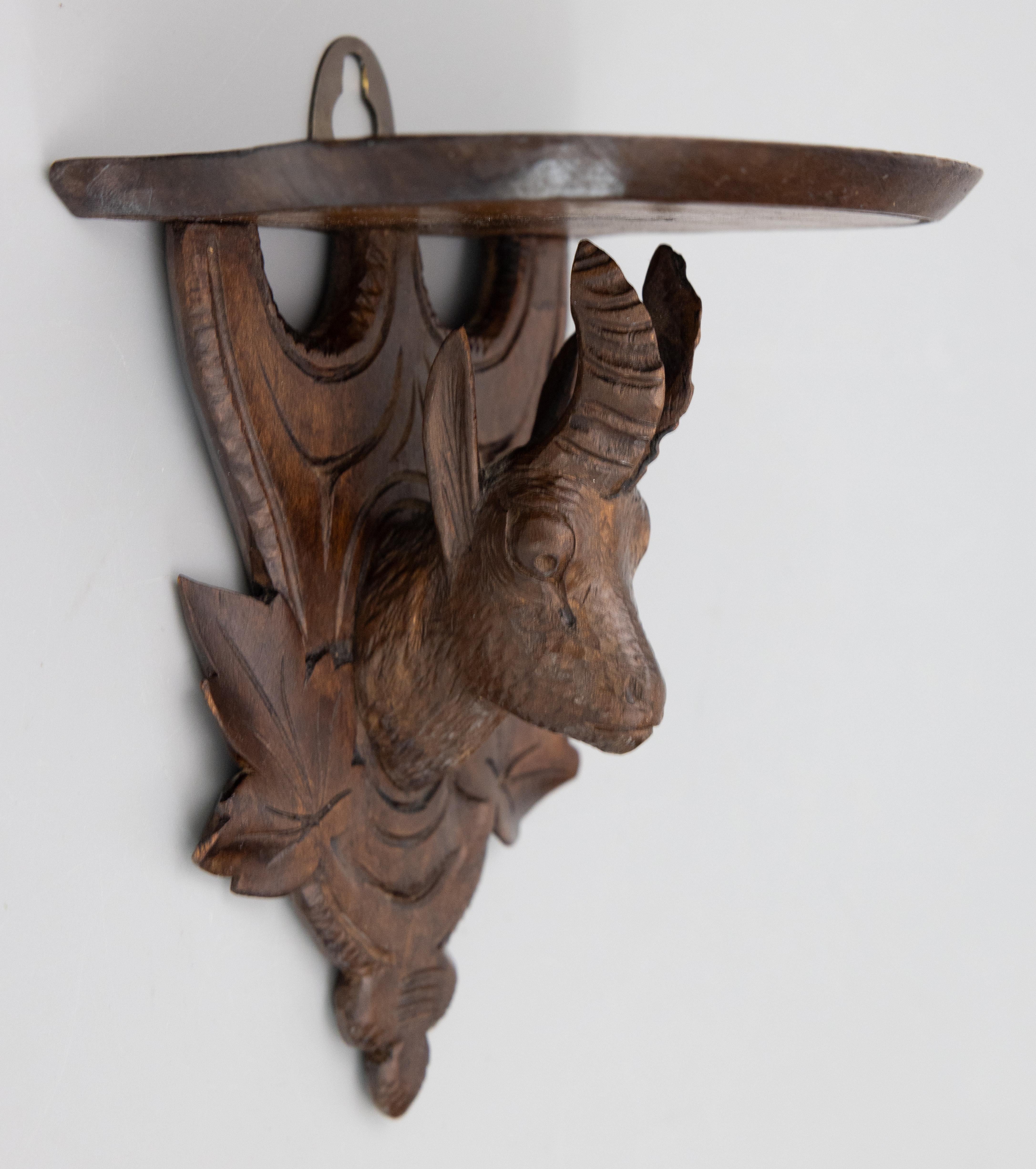 A fine black forest hand carved chamois or antelope wall bracket shelf hand carved in Switzerland, circa 1920. This fine bracket features a handsome chamois surrounded by intricately carved leaves. It's perfect for your rustic lodge decor or in a