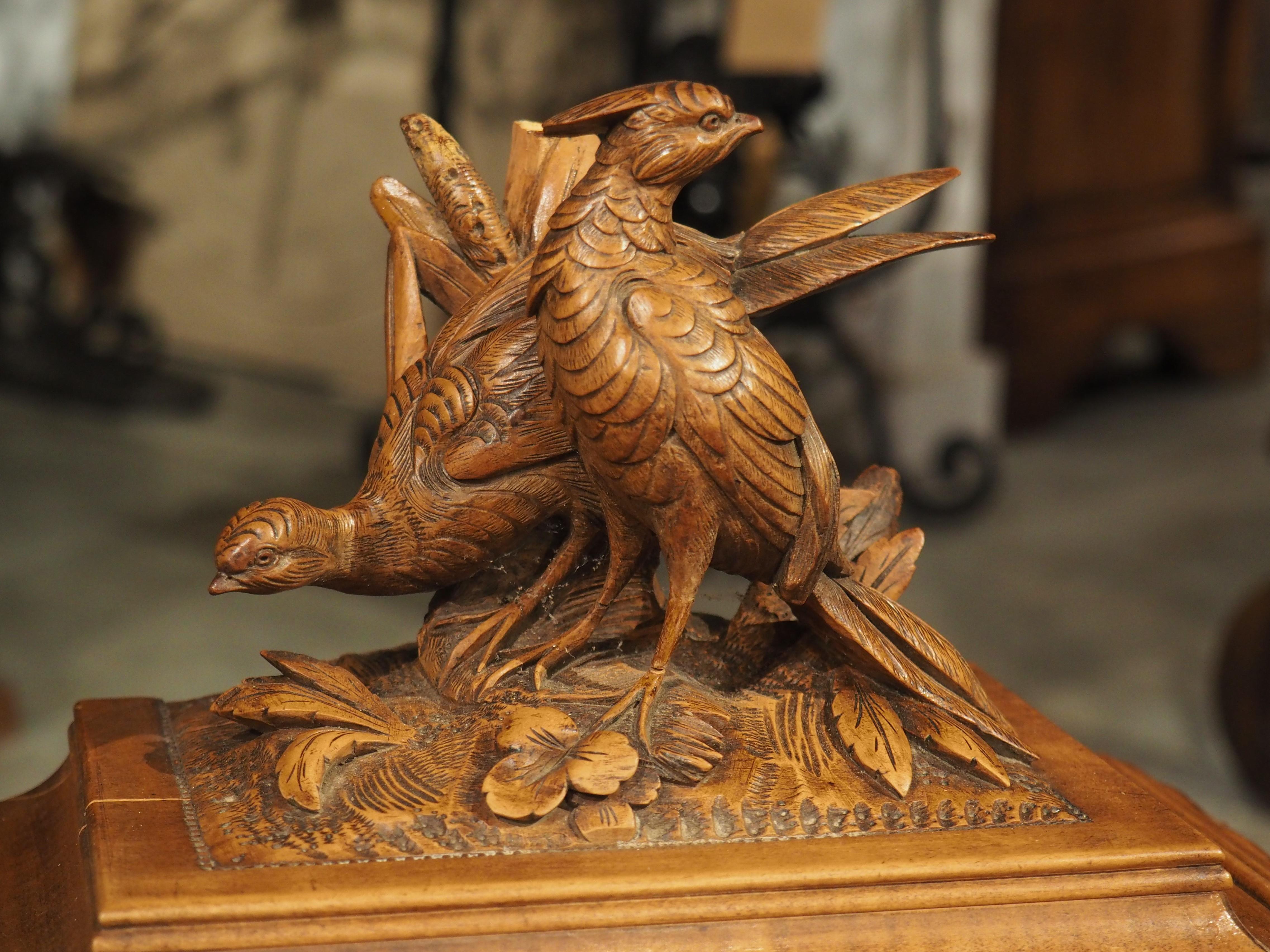 19th Century Antique Swiss Black Forest Carved Cigar Chest, Circa 1890