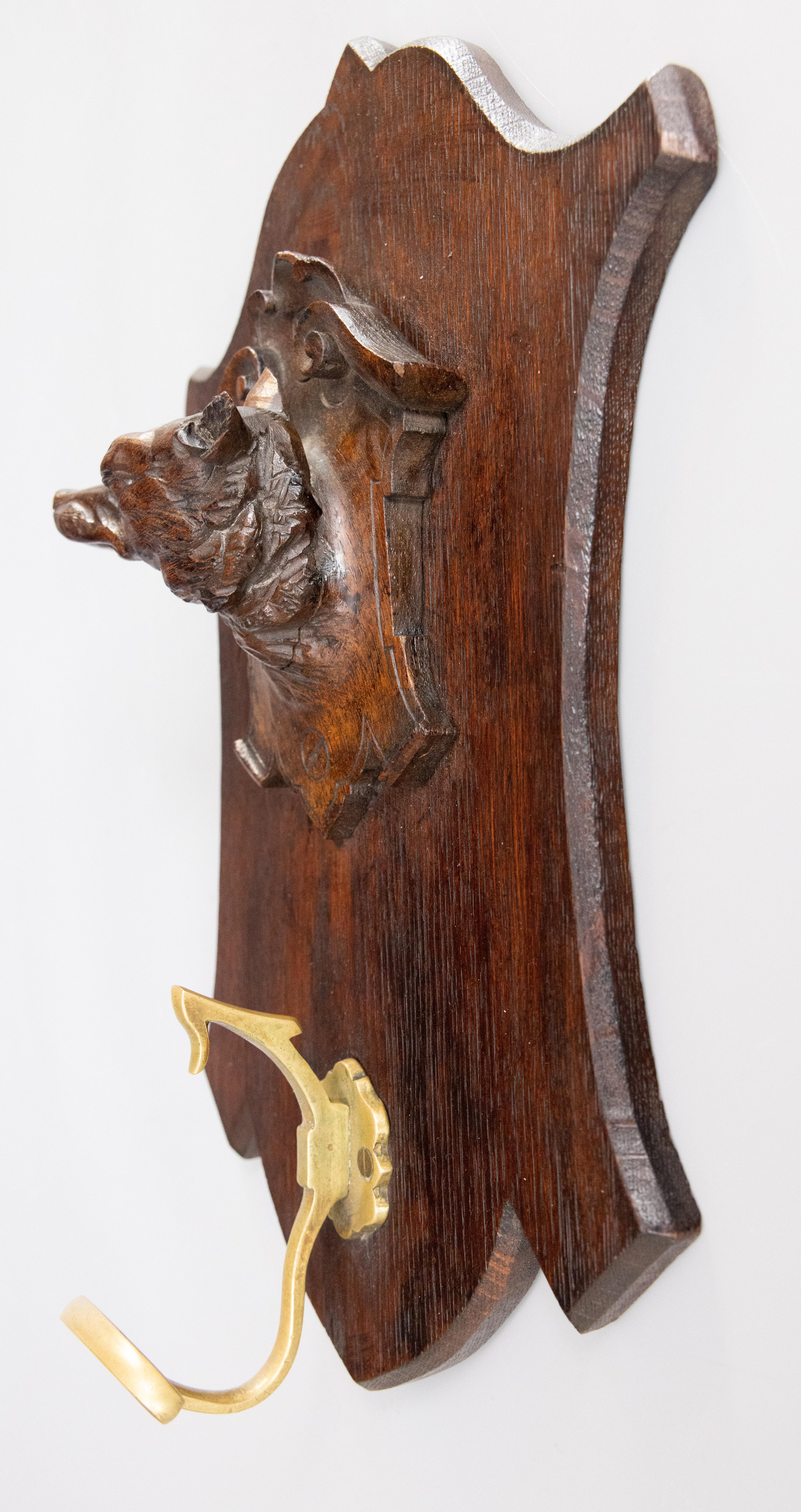 A fine antique black forest Swiss hand carved dog head sculpture plaque coat rack with a gilt bronze hook, circa 1900. It's perfect for your rustic lodge decor in an entryway for hanging a coat, hat, or leashes, and it would also be a wonderful gift