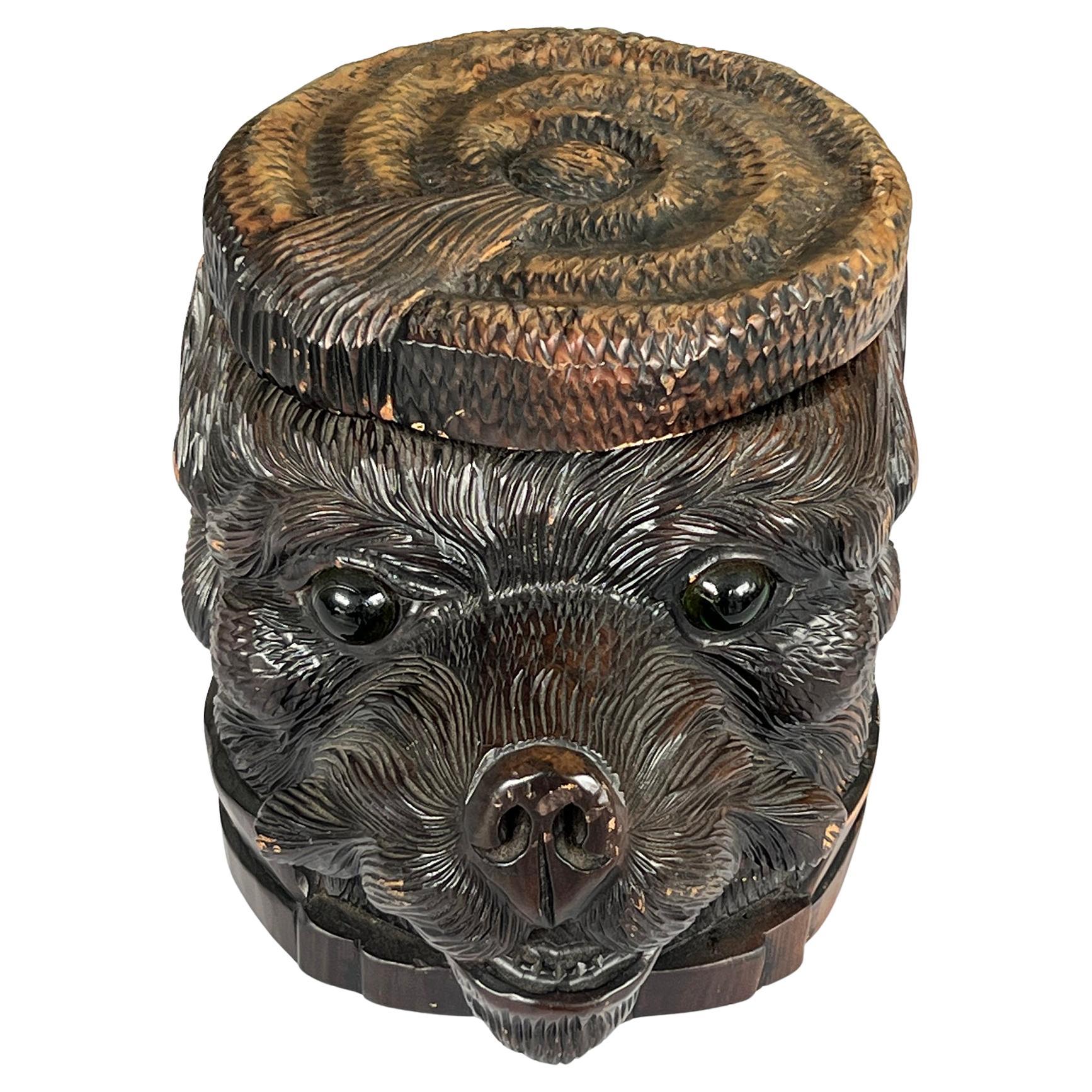 Antigua caja de tabaco suiza de madera tallada de la Selva Negra con cabeza de oso y tapa en venta