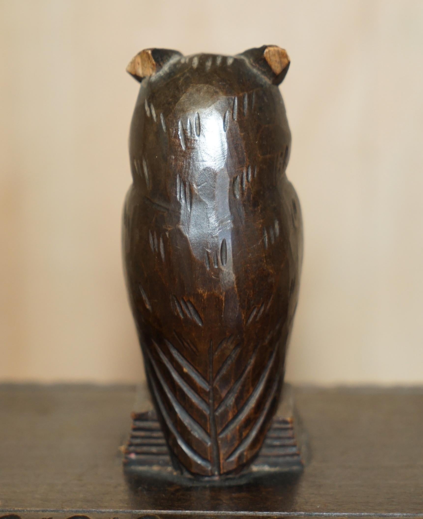 Antique Swiss Black Forest Owl Cigar Box with Original Tin Lining Hand Carved For Sale 3