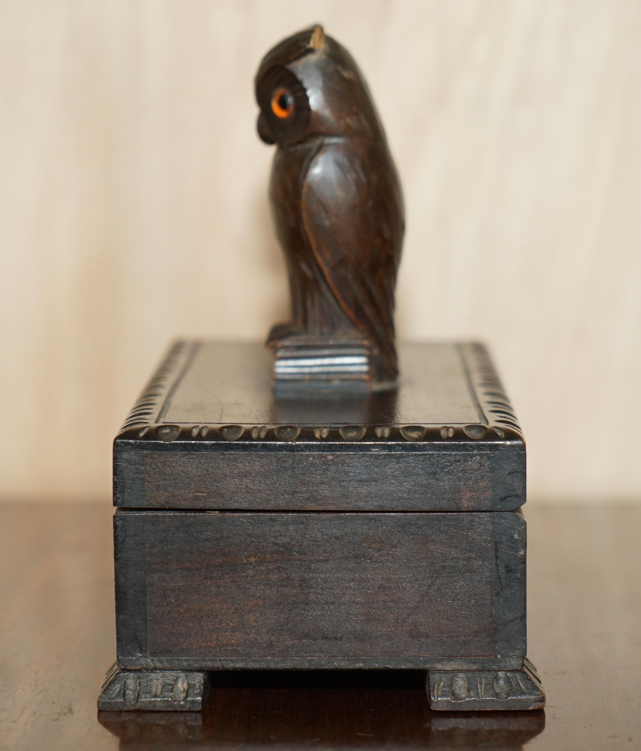Antique Swiss Black Forest Owl Cigar Box with Original Tin Lining Hand Carved For Sale 4