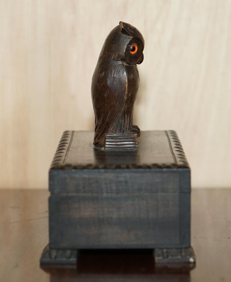Antique Swiss Black Forest Owl Cigar Box with Original Tin Lining Hand Carved For Sale 3
