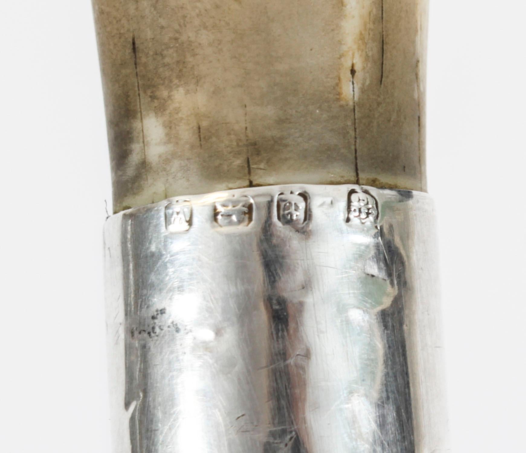 Canne épée / canne de marche ancienne 19ème siècle en vente 7