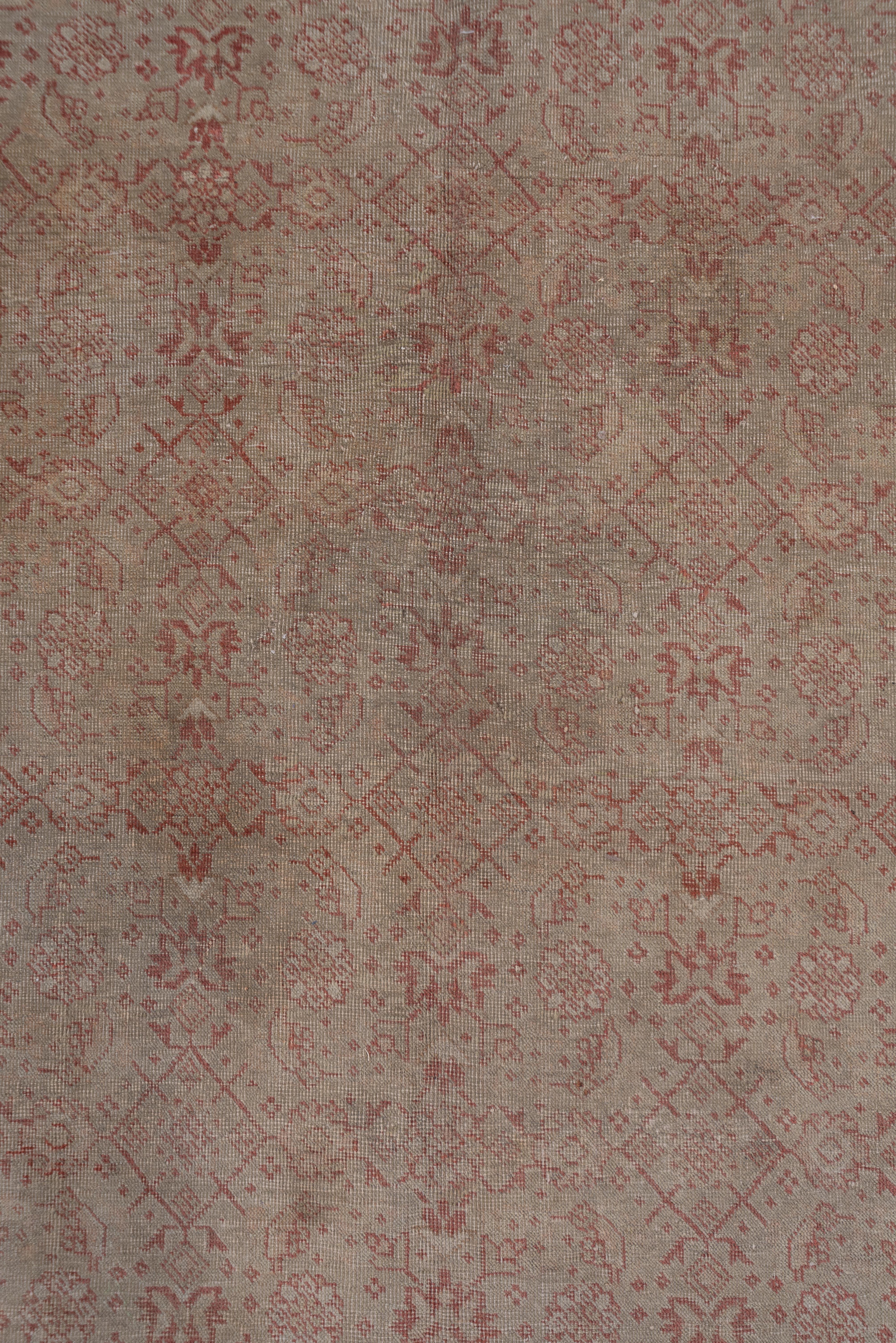 The beige field is closely covered by a small scale all-over Herati pattern set within a border system including two ivory minors with pentagonal whole flower patterns and a broader rust main with oval palmettes joined by an acanthus strapwork. The