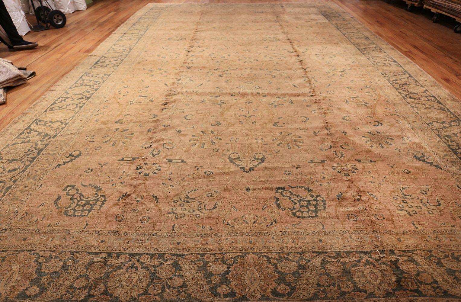 A fine mesh of classical Persian palmettes and vines in soft blues, cinnamon, and ivory unfolds in meticulous symmetry and fluid harmony across the rich tan field of this elegant antique Tabriz. An elaborate vinescroll border replete with more lush