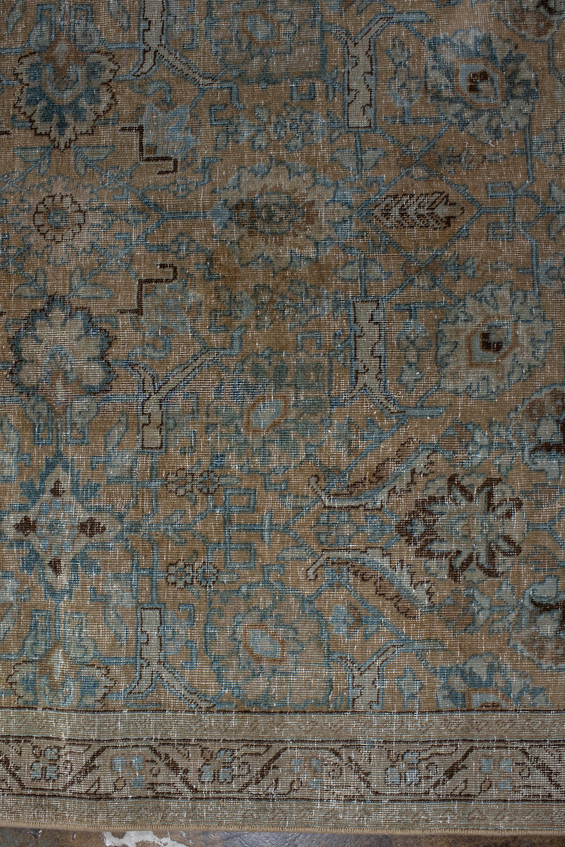 Antique Tabriz Rug with Rosettes and Narrow Border In Good Condition For Sale In New York, NY