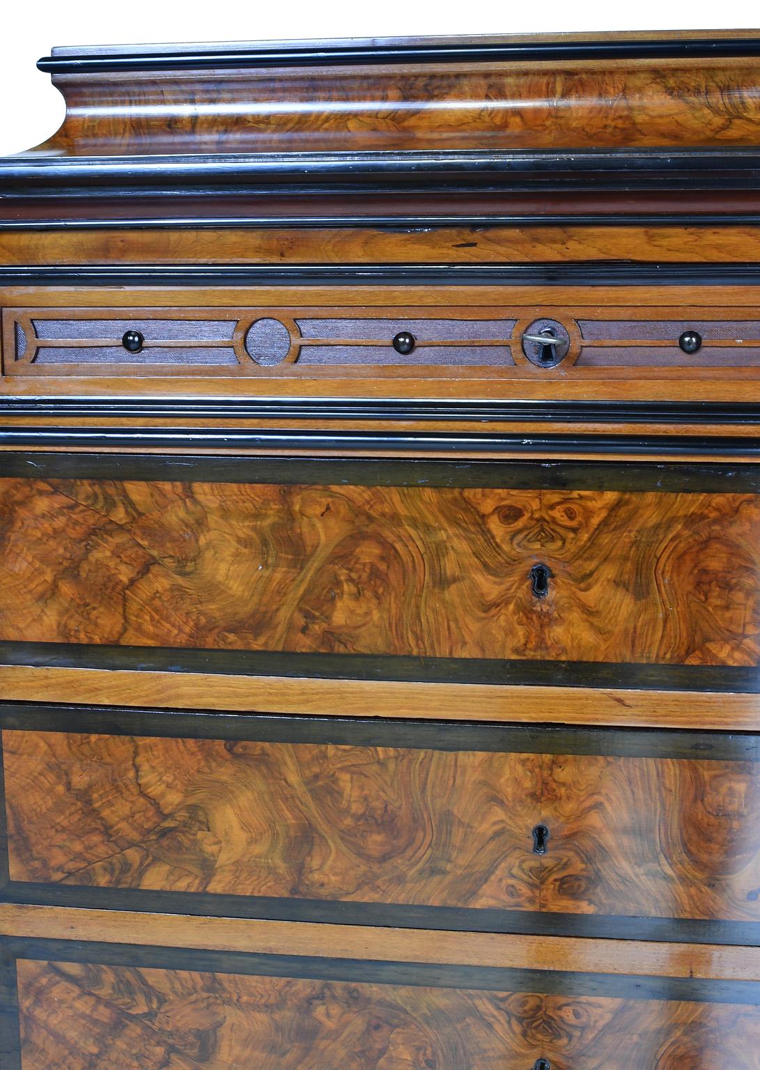 Antique Tall Chest of Drawers in Burled Walnut w Ebonized Accents & Pedestal Top For Sale 4