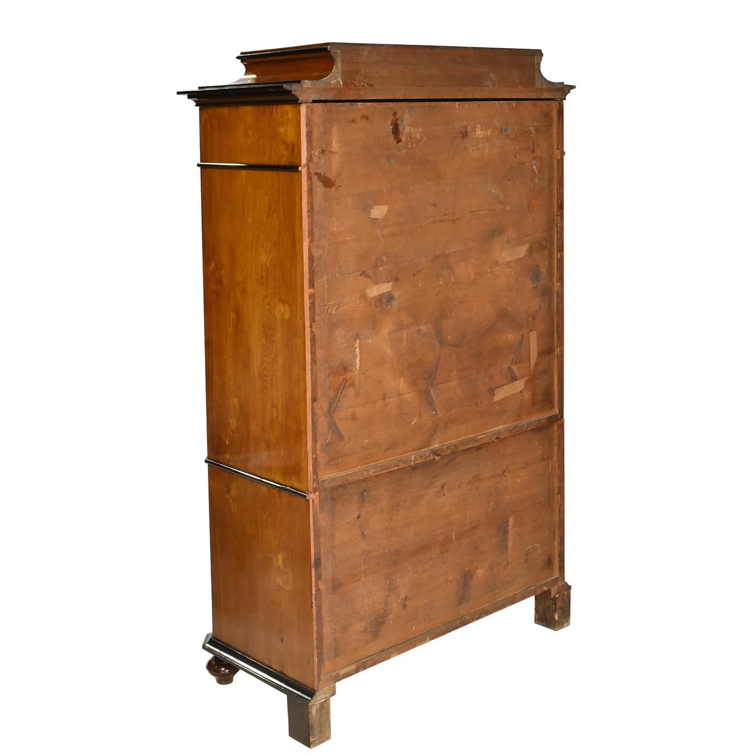 19th Century Antique Tall Chest of Drawers in Burled Walnut w Ebonized Accents & Pedestal Top For Sale
