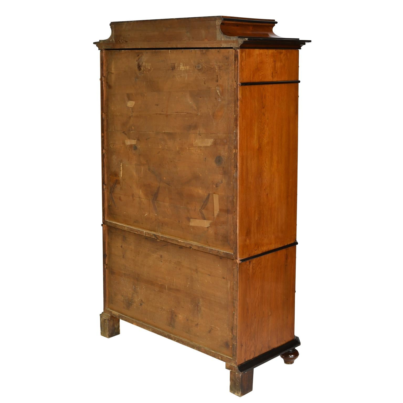 Antique Tall Chest of Drawers in Burled Walnut w Ebonized Accents & Pedestal Top For Sale 2