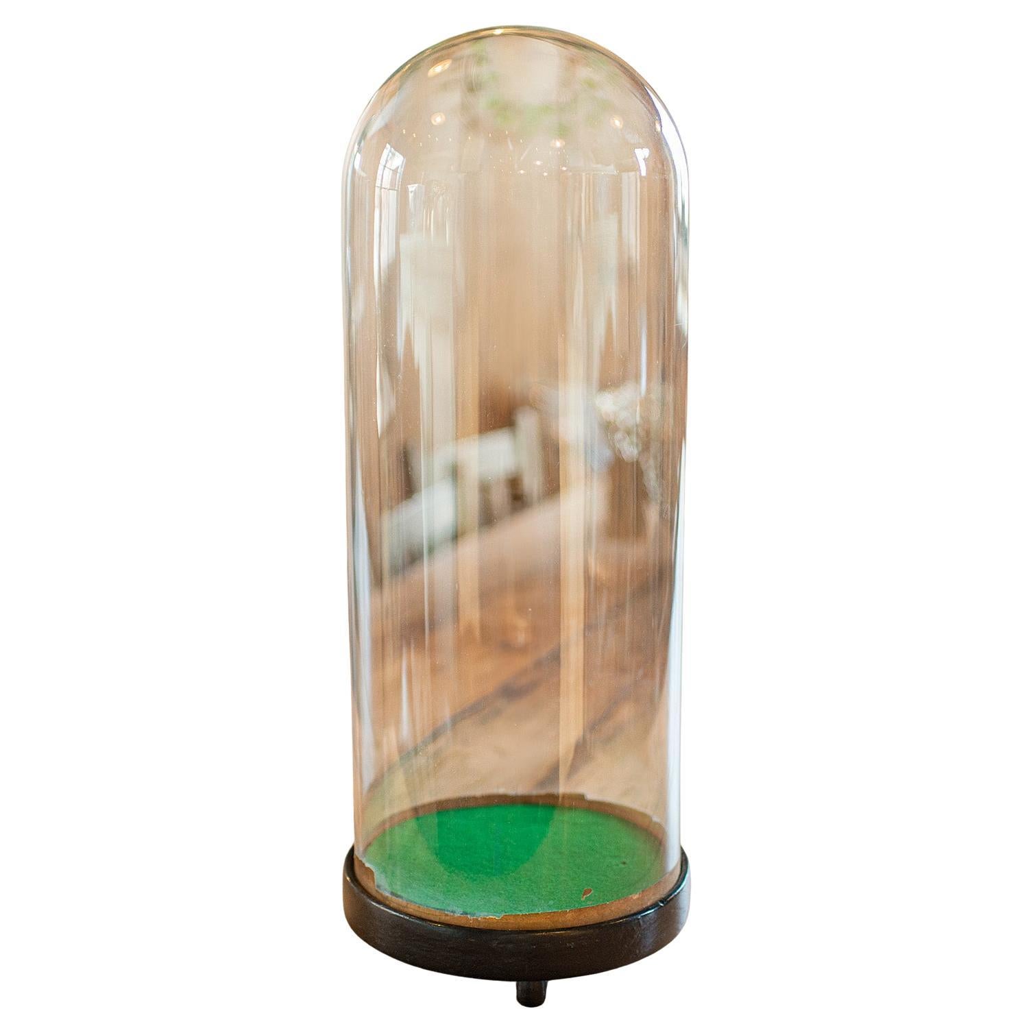 Antique Tall Display Showcase, English, Taxidermy, Ornament Dome, Victorian