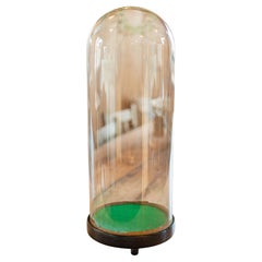 Antique Tall Display Showcase, English, Taxidermy, Ornament Dome, Victorian