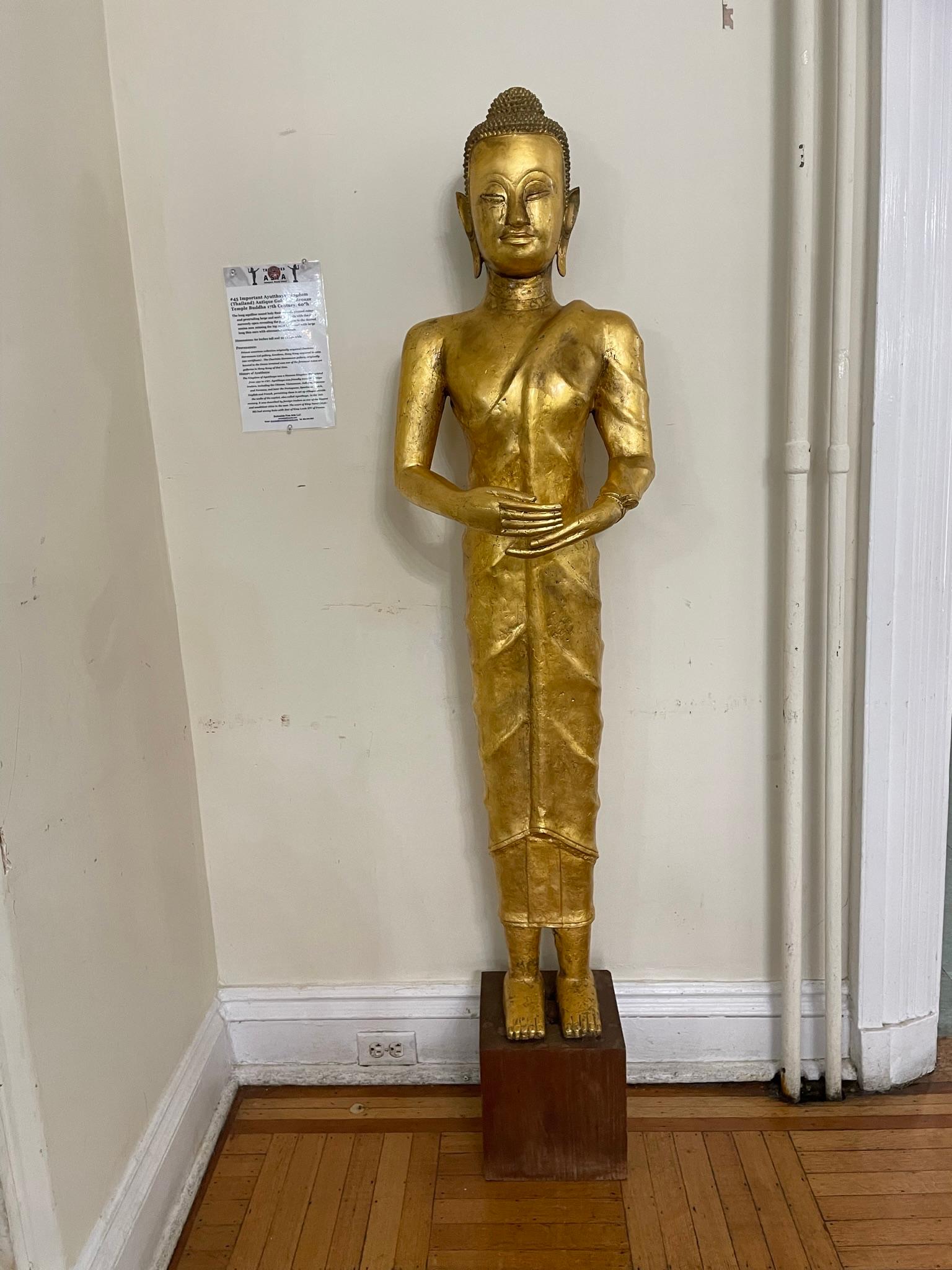 Antiker Buddha aus vergoldeter Bronze, 17. Jahrhundert, 60 Zoll, antik (Thailändisch) im Angebot