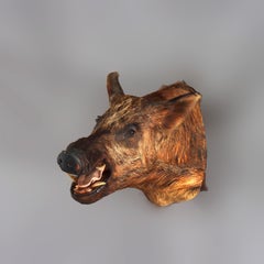 Antike Taxidermie Wildschweinkopf Mount C1920