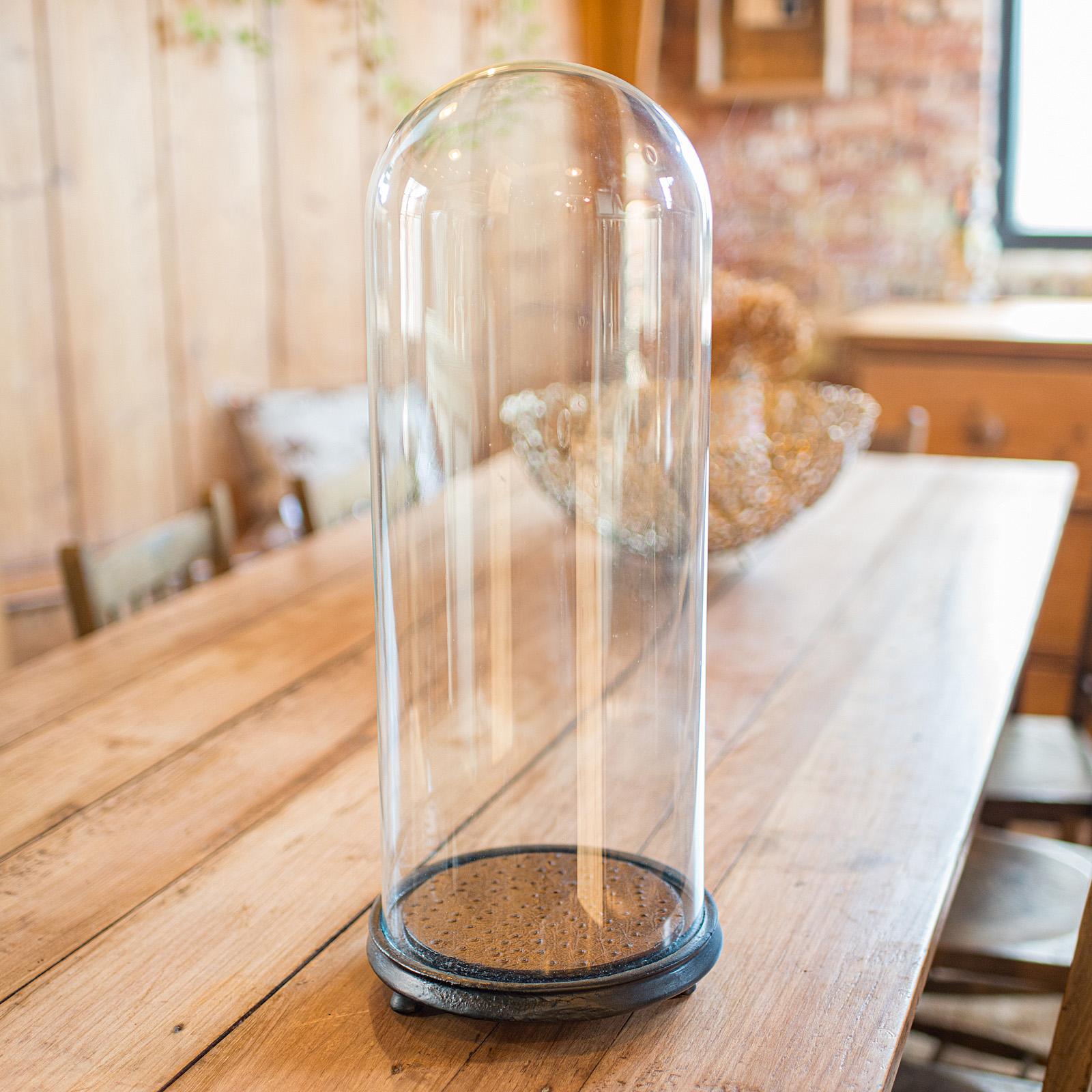 Late Victorian Antique Taxidermy Specimen Dome, English, Glass, Tall Showcase, Victorian, 1900 For Sale