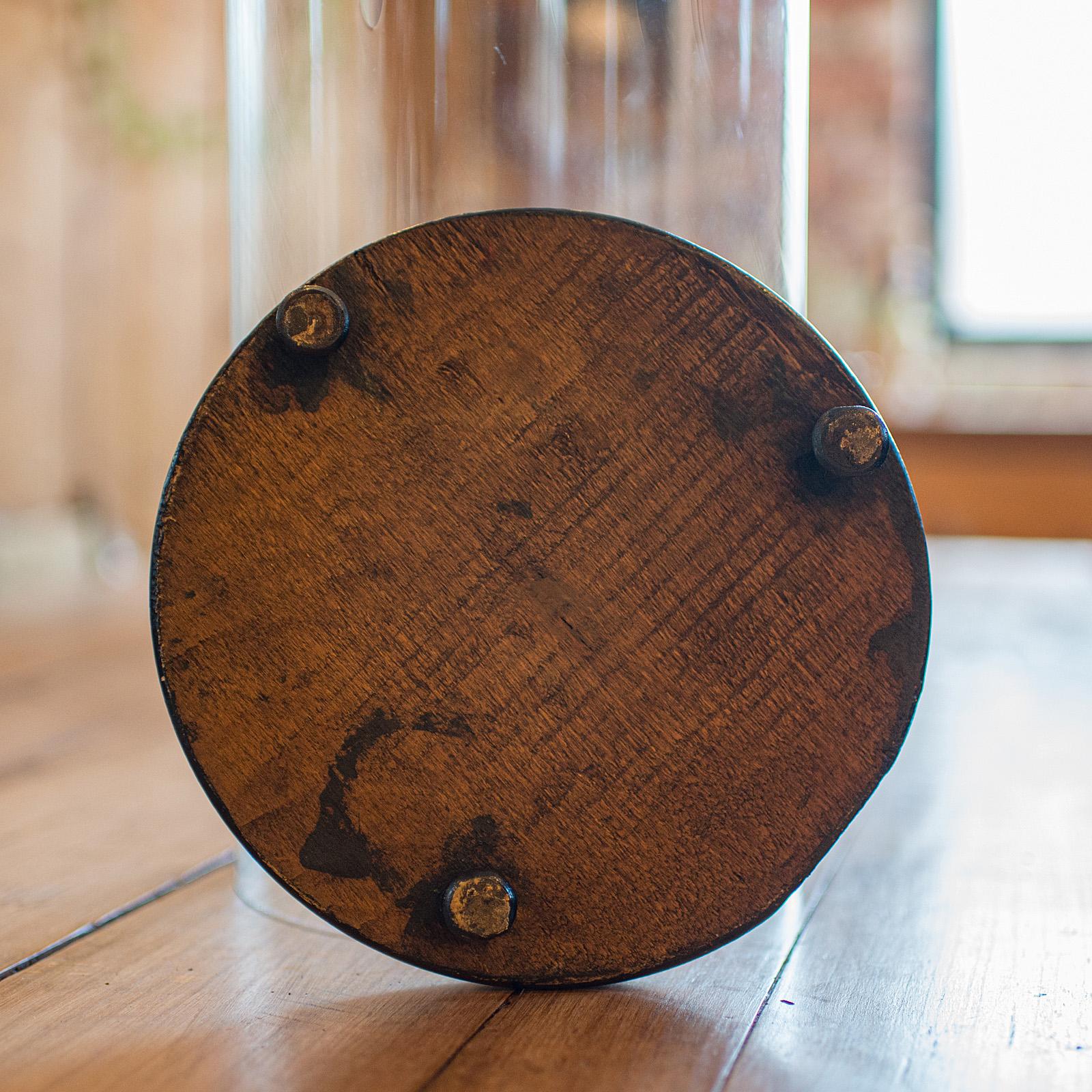 19th Century Antique Taxidermy Specimen Dome, English, Glass, Tall Showcase, Victorian, 1900 For Sale