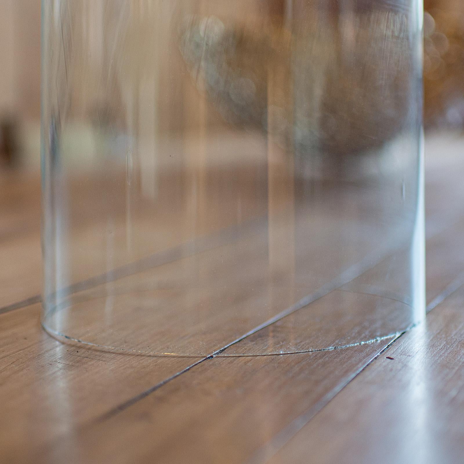 Antique Taxidermy Specimen Dome, English, Glass, Tall Showcase, Victorian, 1900 For Sale 2